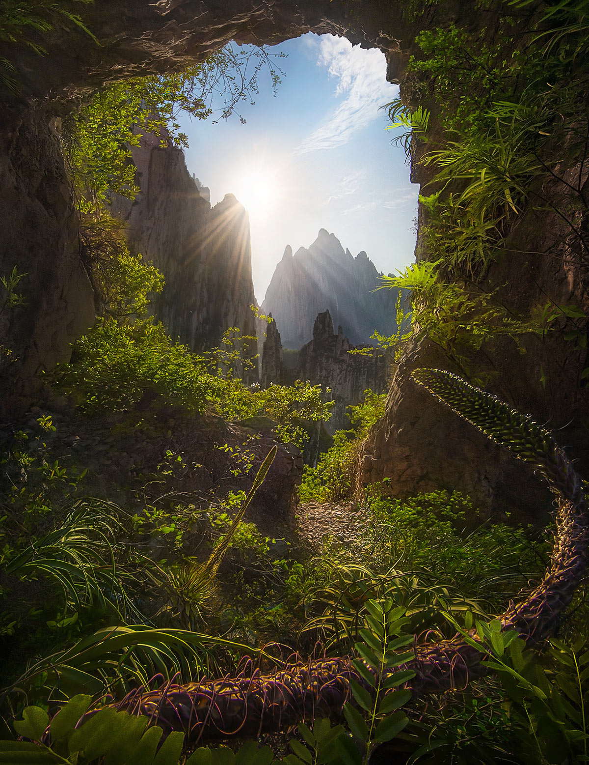 Vines and foliage inside one of the many caves in this spectacular region of cliffs and peaks in Northern Mexico