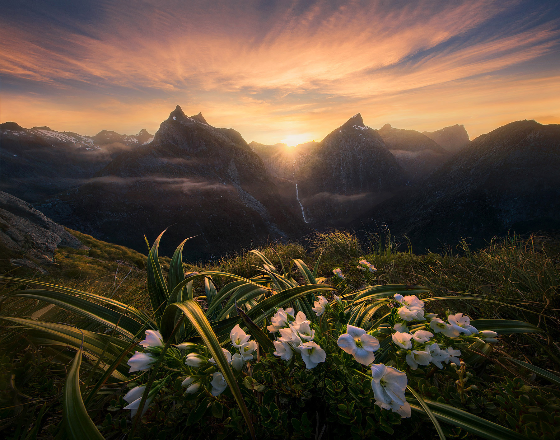 The view from our high camp above one of Earth's largest waterfalls and some amazing mountains. &nbsp;Summer blooms adorn the...