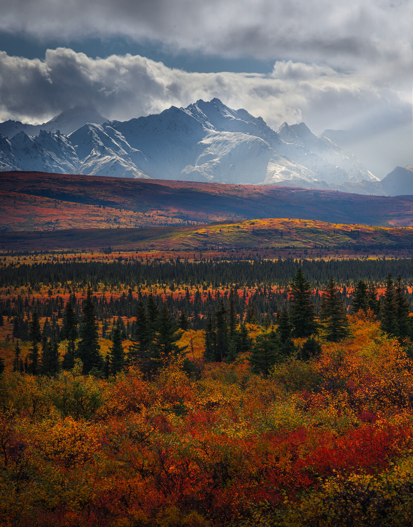 Rich colors illuminated in beautiful afternoon light before the Alaska Range in autumn.