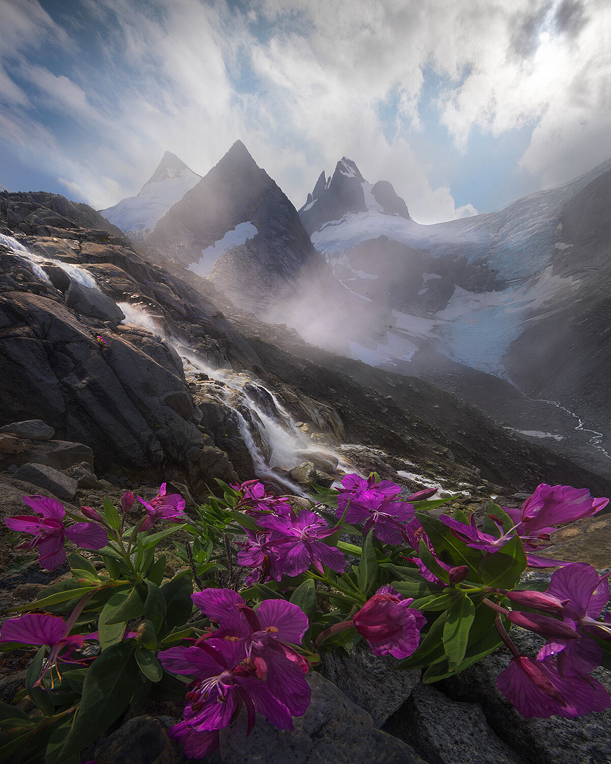 Alaska, glacier, mountains, steep, jagged, boundary range, summer, snow, wildflowers, meadow, stream