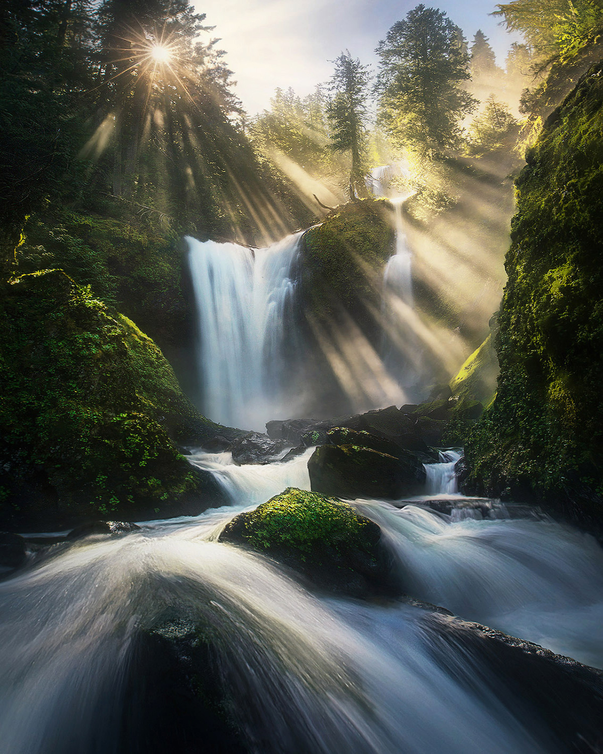 Sun beams through enormous waterfalls rushing down through the temperate rain forest of Washington state.&nbsp;&nbsp;This is...