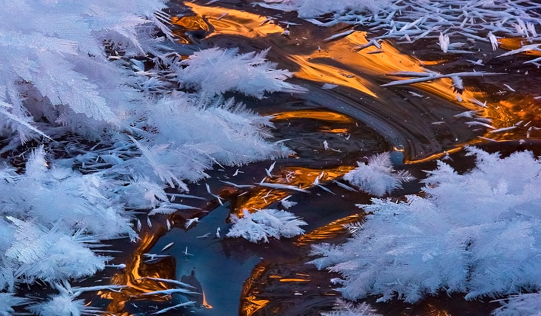 Reflected light off high peaks in the Yukon is cast onto ice crystals and hoar frost formations atop a small stream.