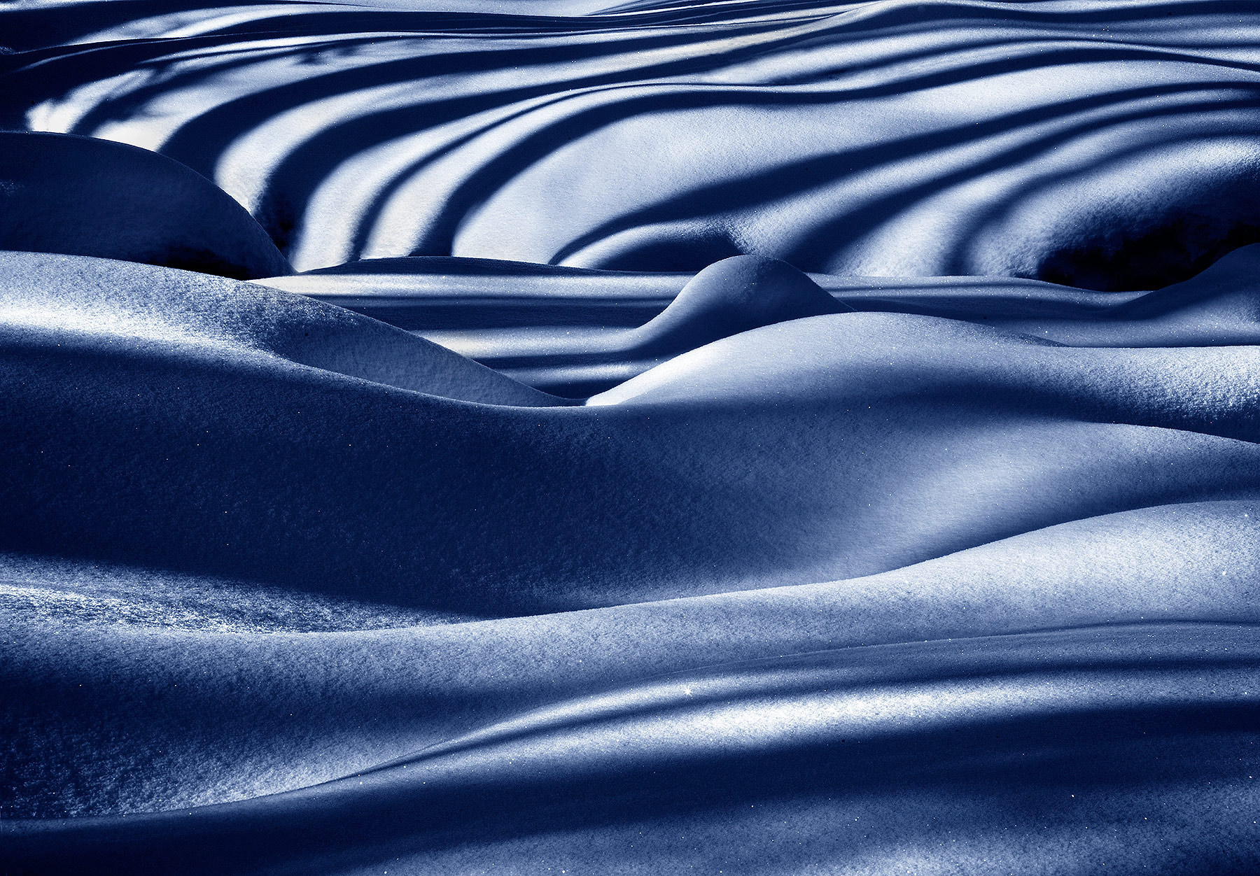 Shadows from a burned forest covered in new snow were the focus of this abstract rendition.