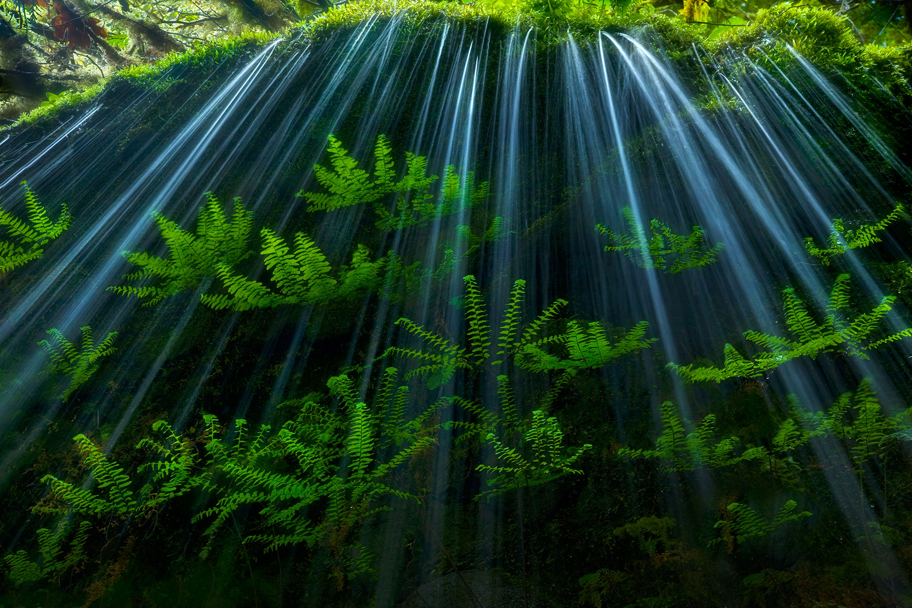 Maiden Shower - Eagle Creek, Oregon