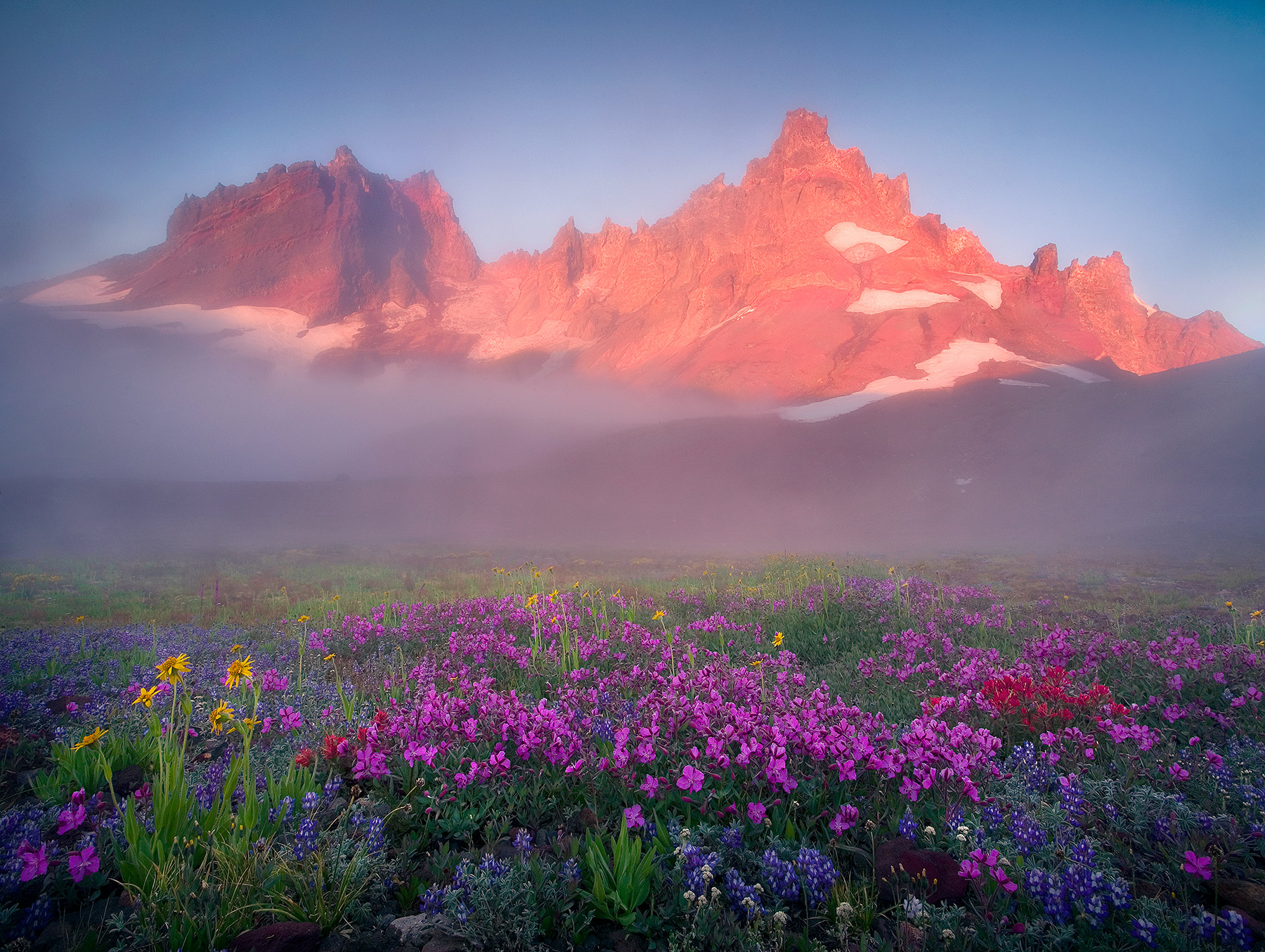 A colorful field of wildflowers and dramatic peaks beyond, illuminated at sunrise on a misty morning in Oregon's Three Sisters...