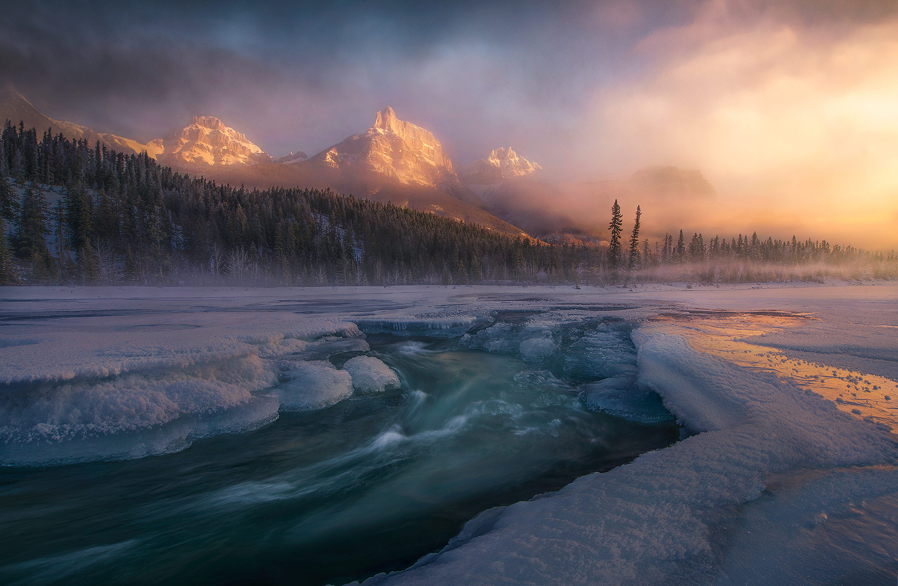 A misty morning light snow on the banks of the Athabasca
