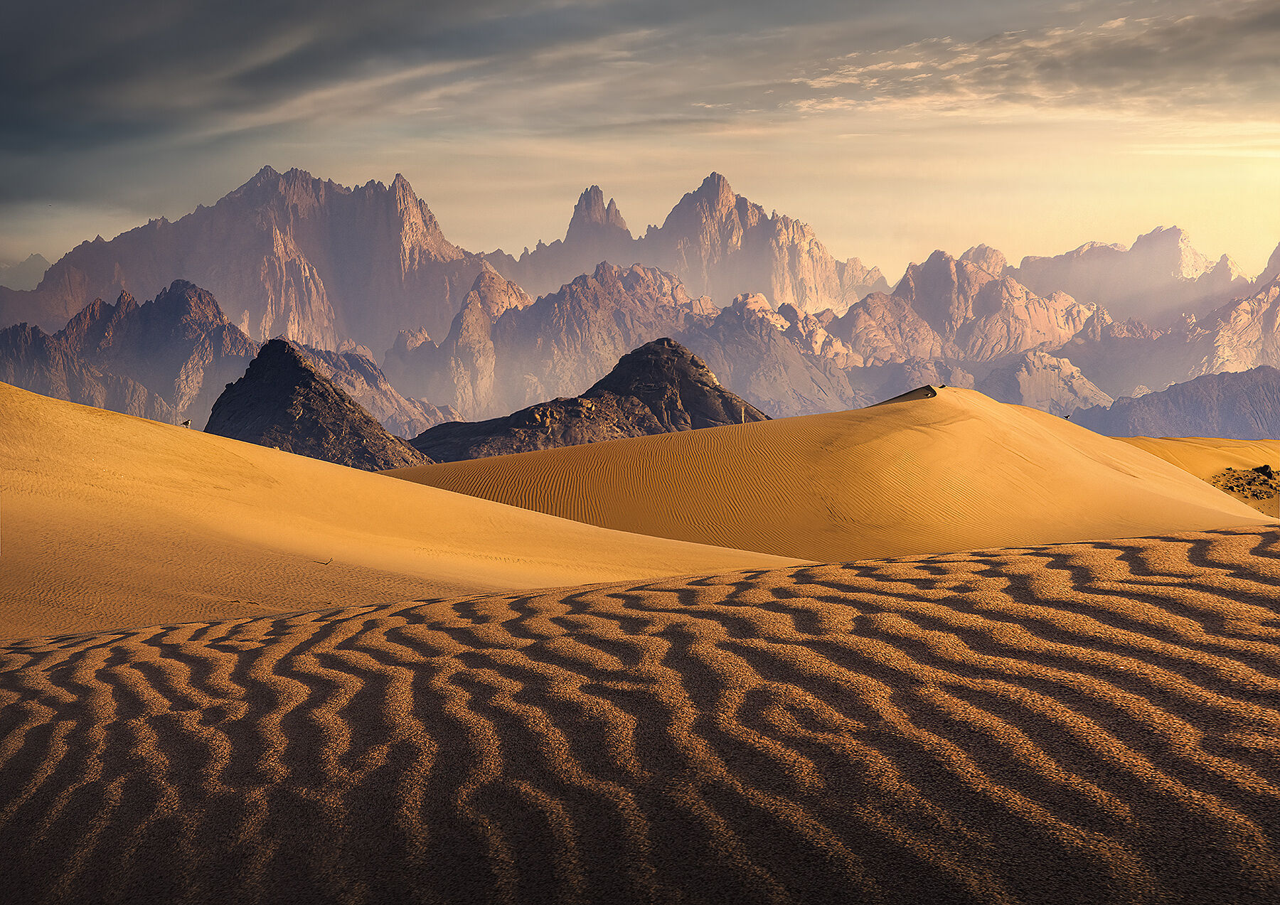 Stunning high peaks in the distance just beyond these golden sands in the Neom region of Saudi Arabia.