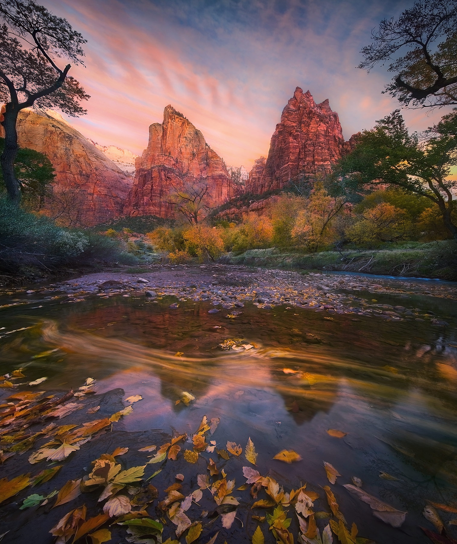 A rich blend of Autumn colors and sunrise glow in Zion National Park, Utah. Leaves streak by across the water below.