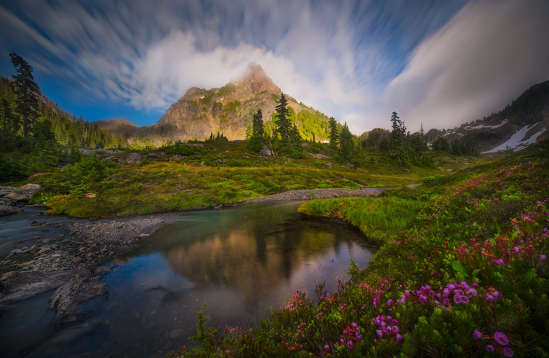 The beautiful high country of Olympic National Park in summer time, adorned with wildflowers, reflection tarns and billions of...