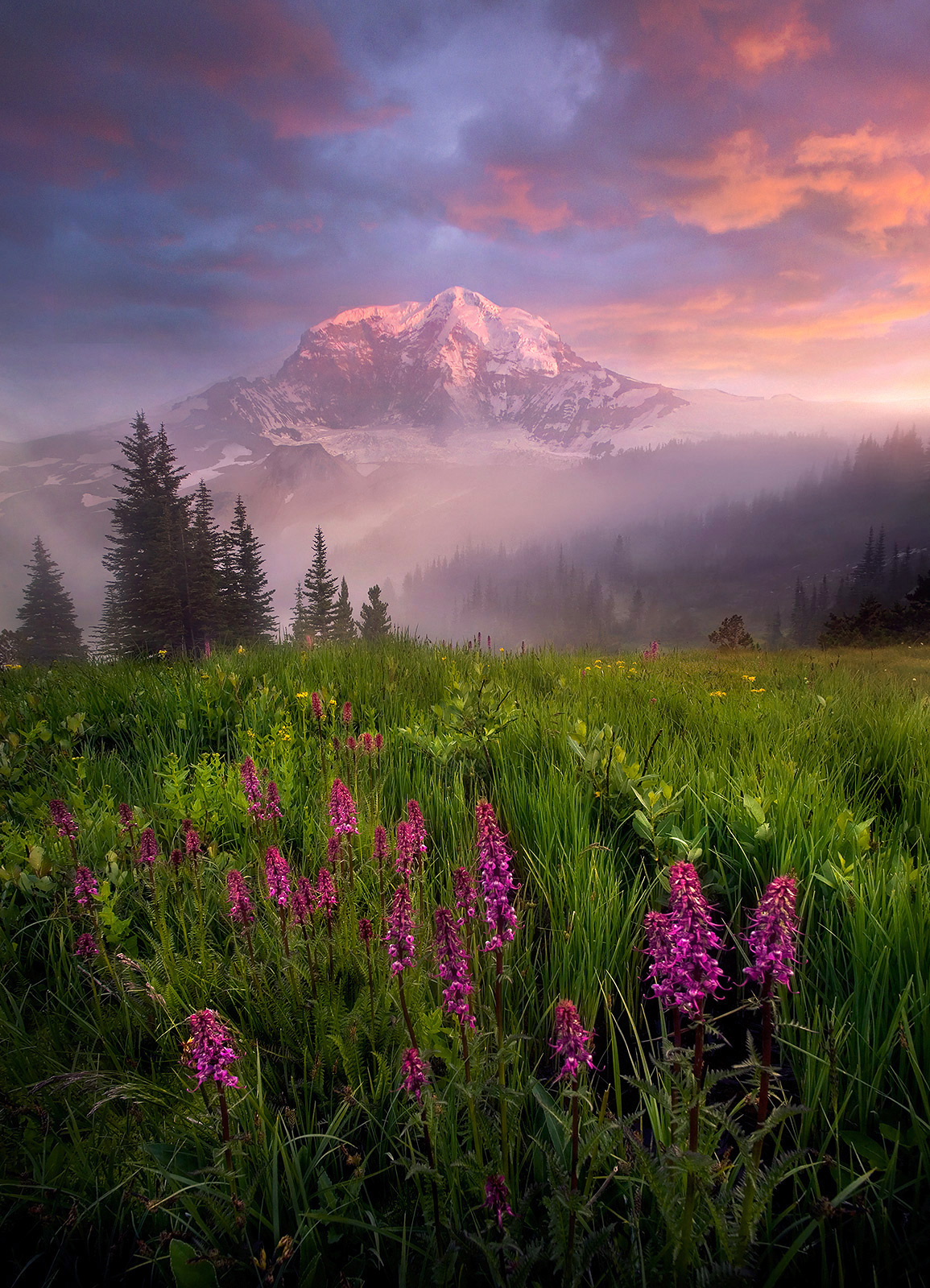 If you ask me, the best perspective on Washington's amazing Mount Rainier is the backpacking trip to the North Face, a stunning...