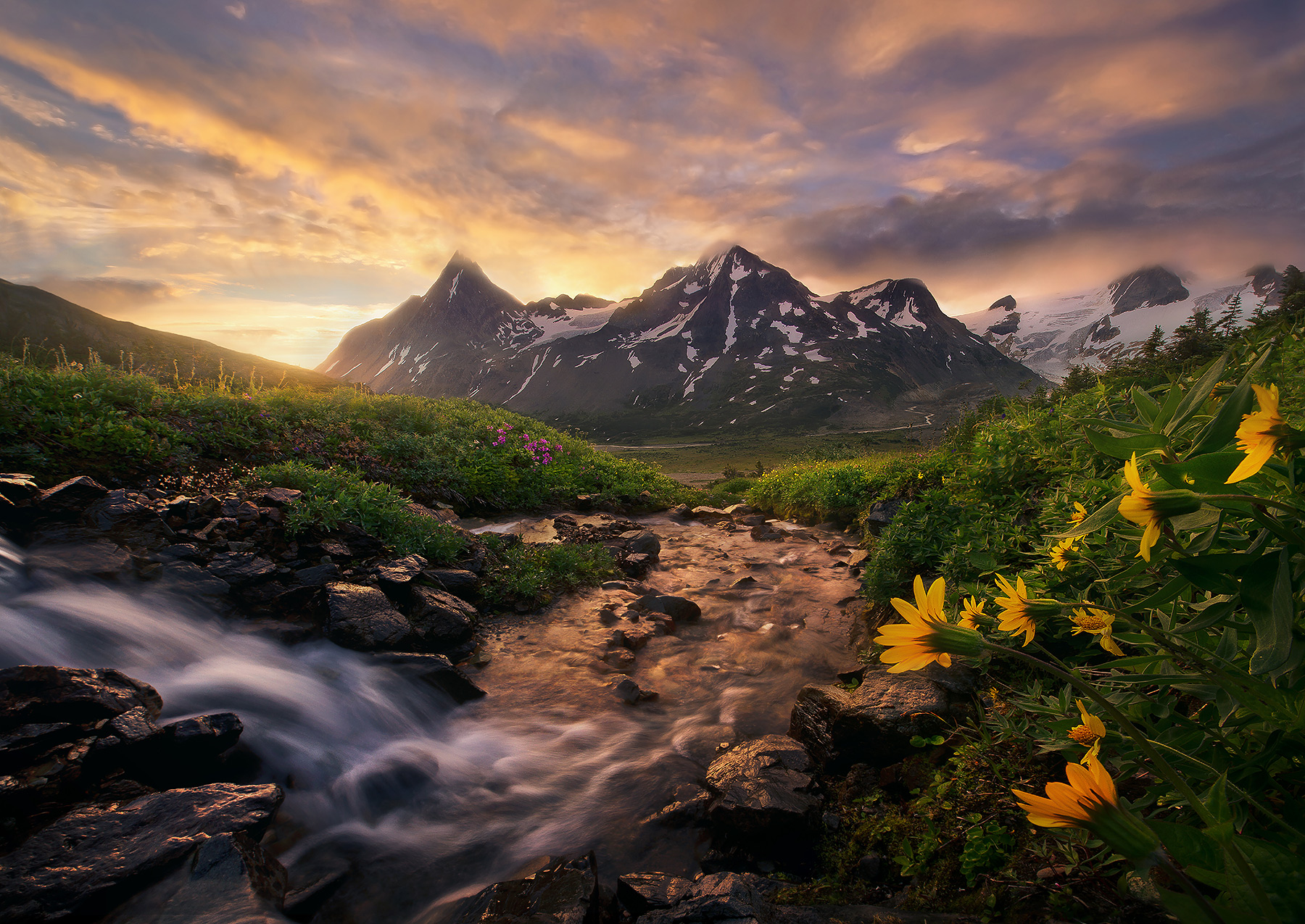 Some beautifully warm morning light on otherwise cool, rugged landscape meadows in the eastern Boundary Range (Alaska/BC border...