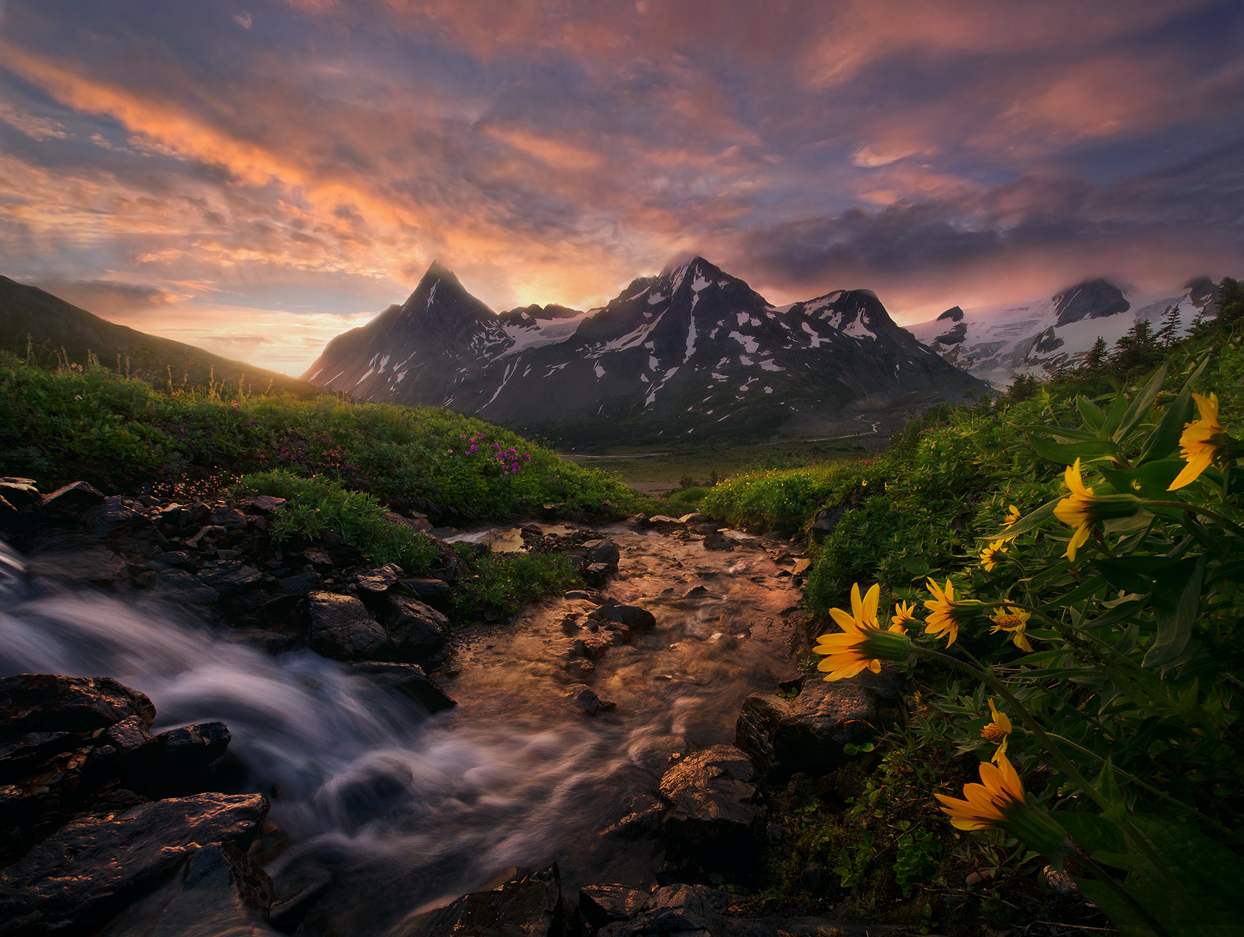 Neverending Light (2012) photo Sunrise, morning, boundary range, meadows, alaska, british columbia, Summer, photo