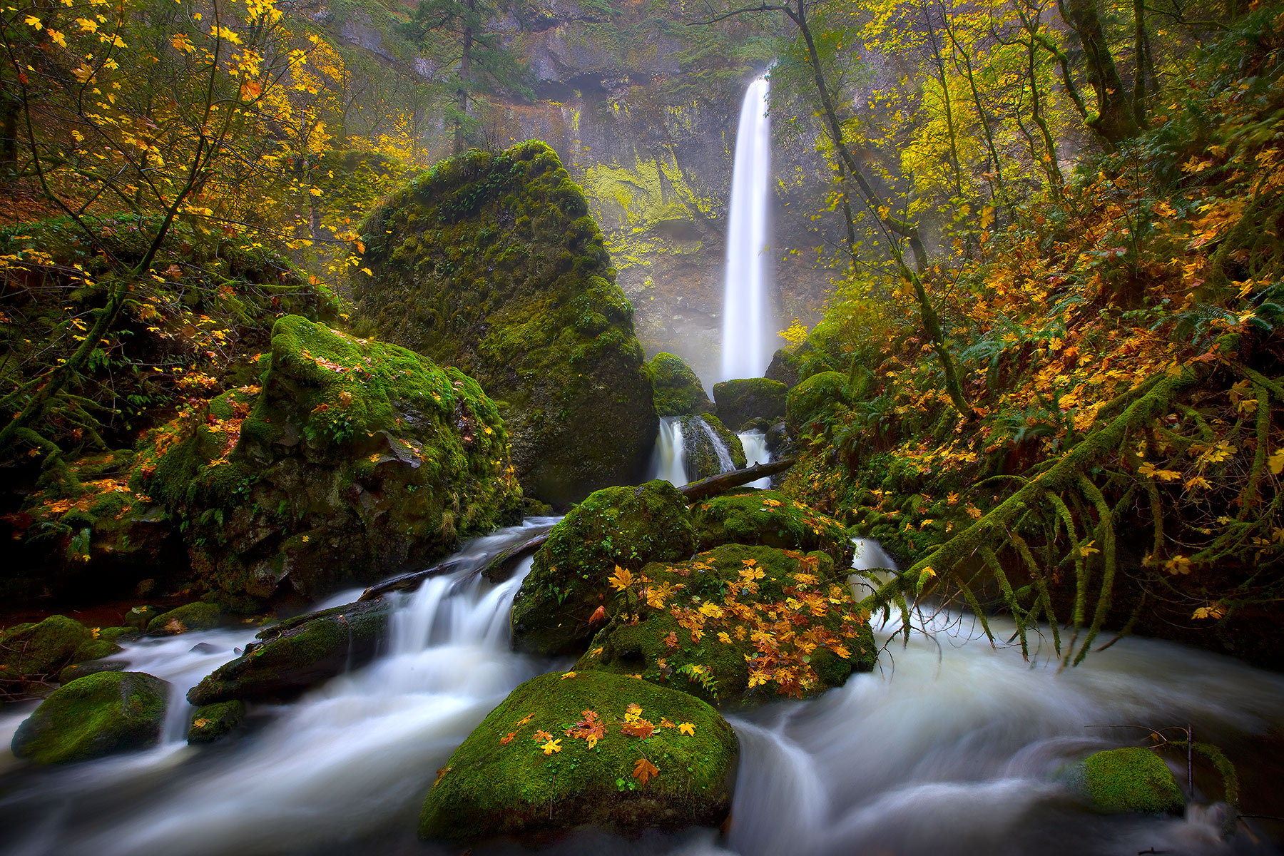 November Rain, Elowah Falls, Oregon