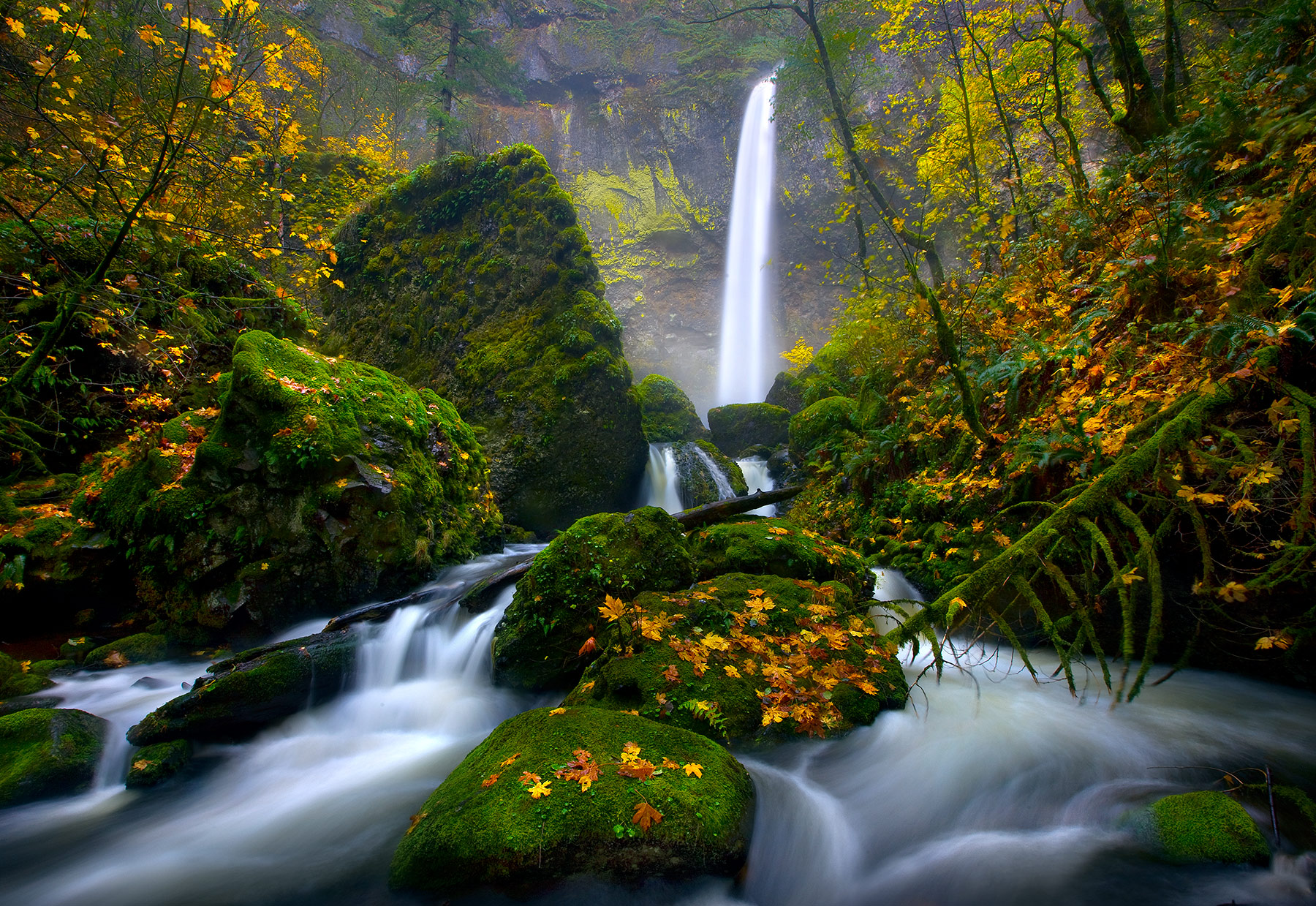 Oregon's Elowah Falls photographed in the rain amidst fall colors.