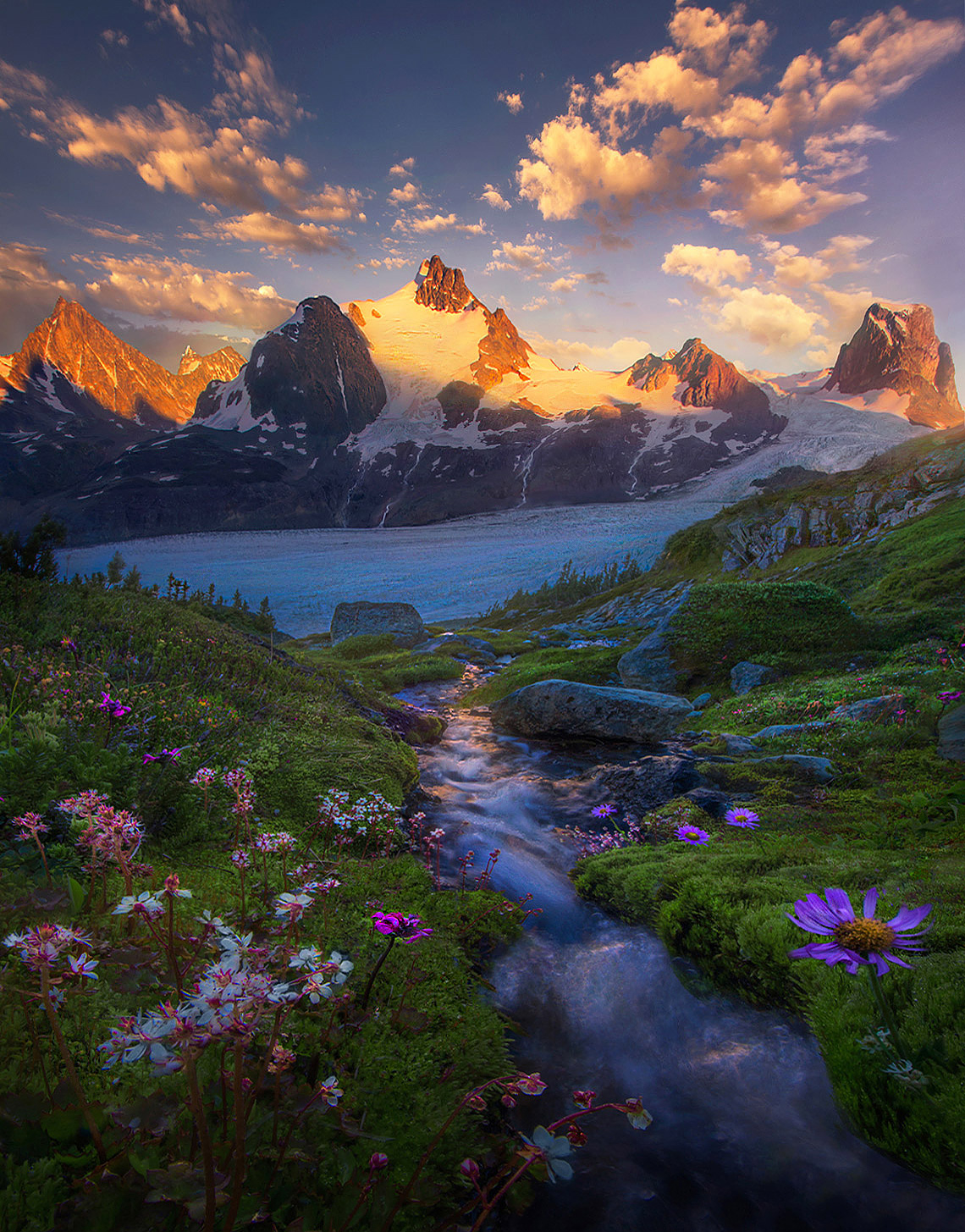 A small stream cascades through flowers in this tiny, mossy garden perched on a slope above rivers of glacial ice below with&...