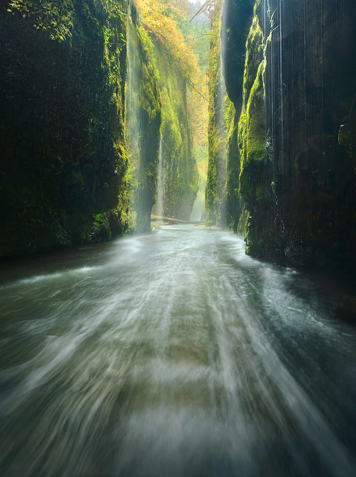 Oneonta Gorge in Oregon's Columbia Gorge is usually a wet place, but on this day it was pouring and had been for nearly three...