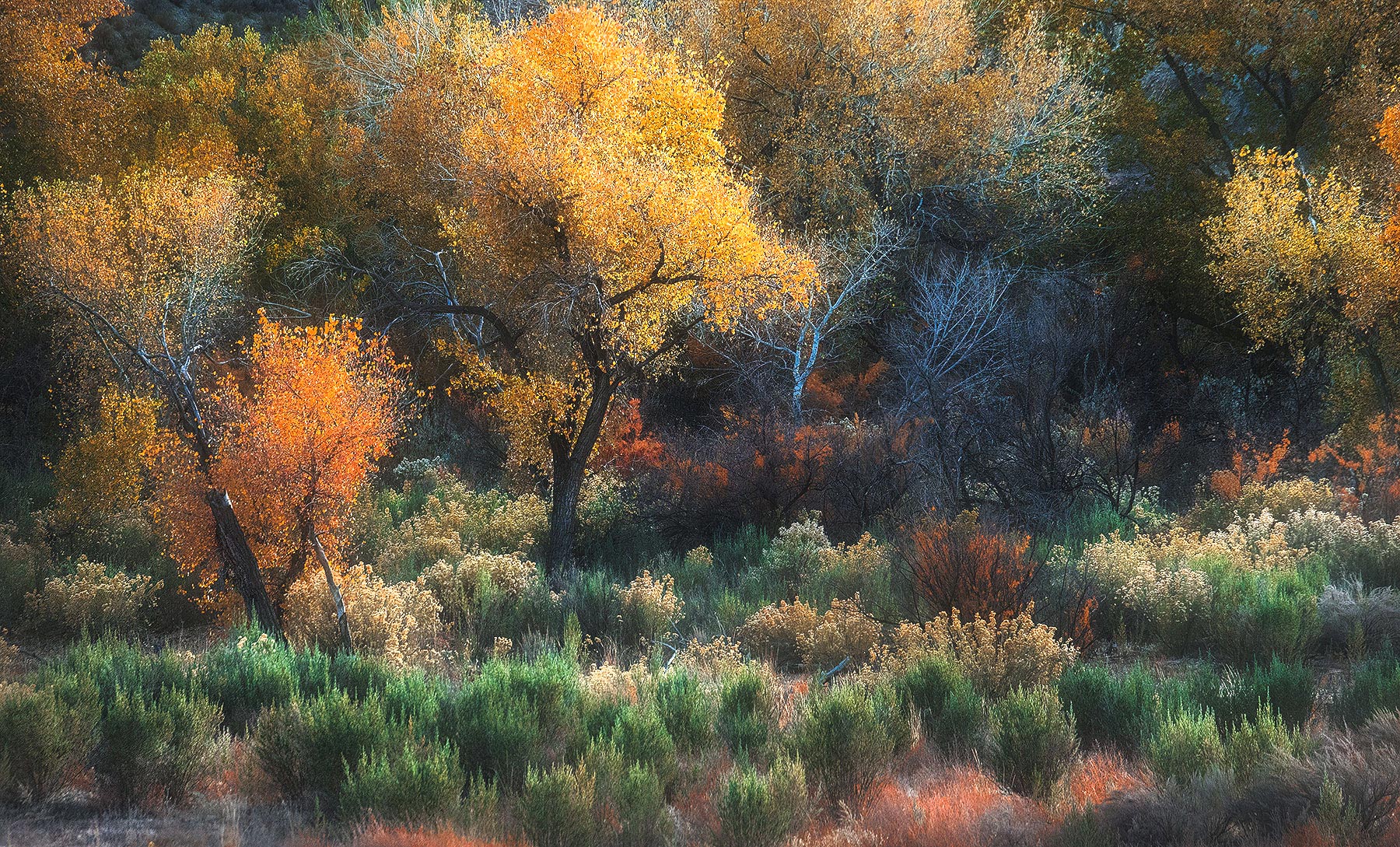 Just a bunch of colors and light and layers with a long lens. &nbsp;Utah. &nbsp;