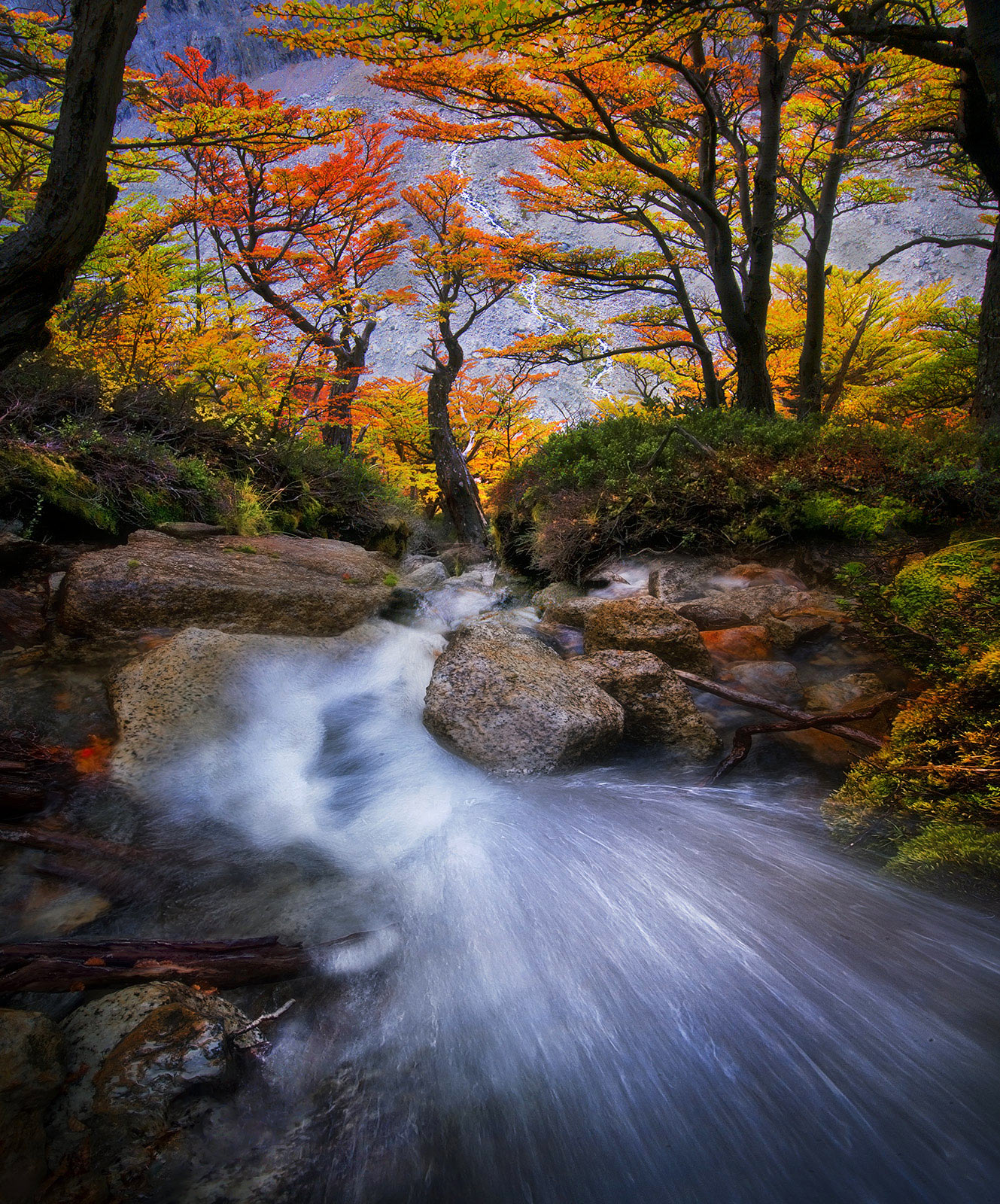 A wonderful array of Autumn colors by this fast-moving cascade far in the backcountry of Patagonia, Argentina.