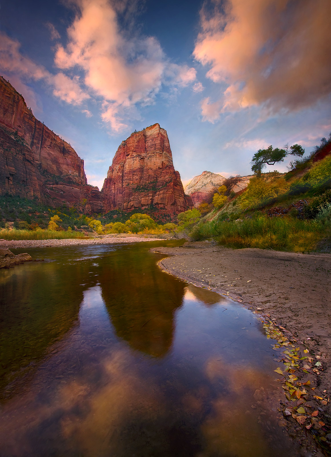 A rare view of the red rock towers of Zion Park in Utah reflected at sunset amidst Autumn colors.