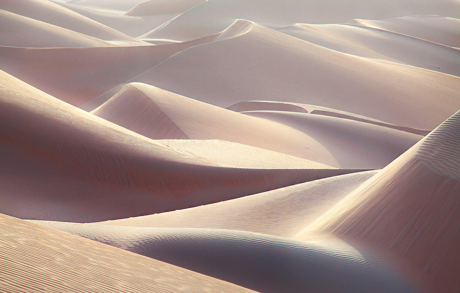 Softly diffused light across the remarkable expanse of dunes stretching across the Empty Quarter, United Arab Emirates.