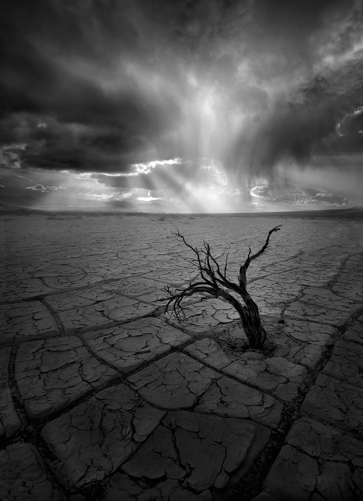 A powerful rainstorm in the distance blocks out the sun over this desert playa in Death Valley and the lone Sagebrush stranded...