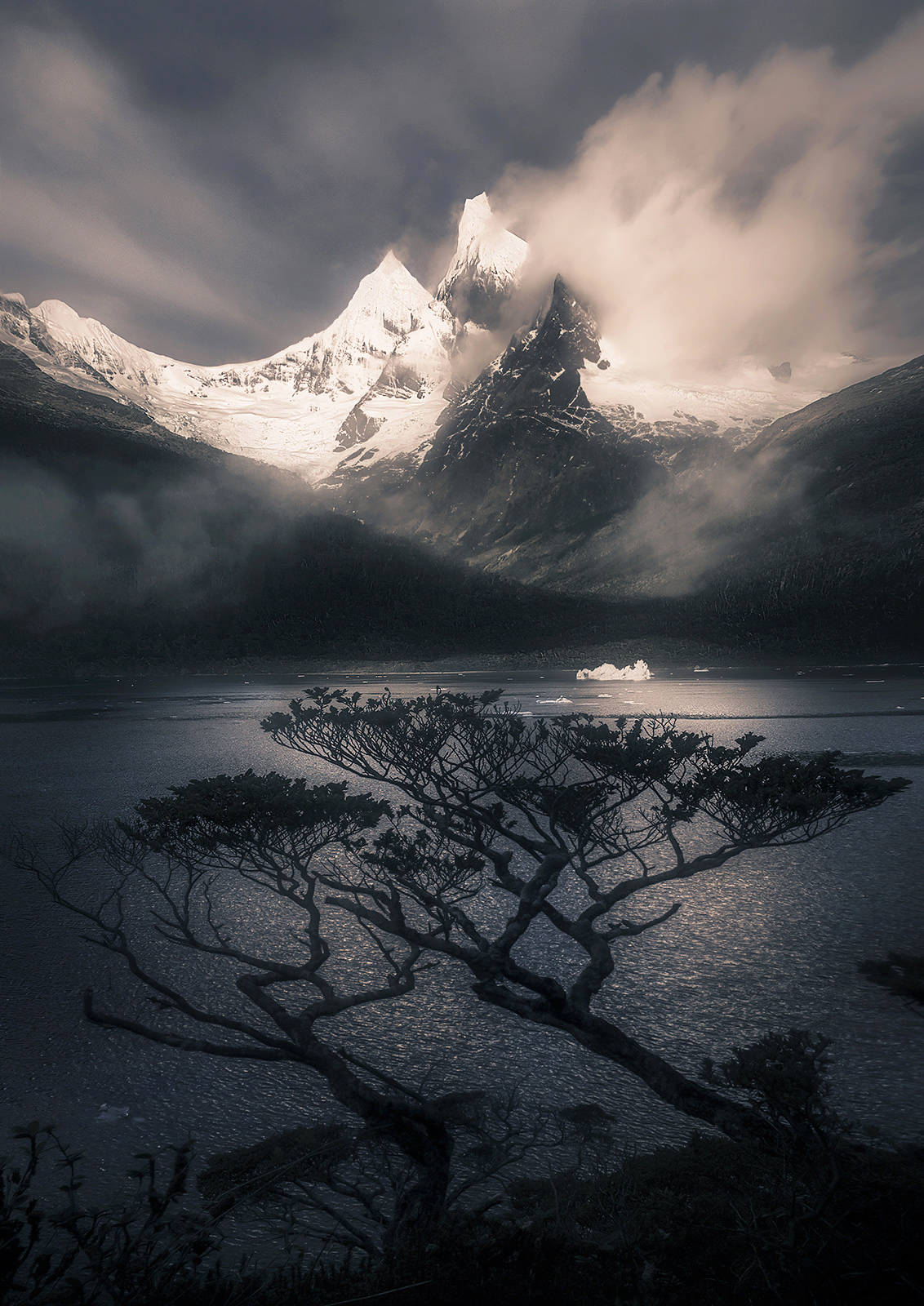 The Bonsai Coast photo peaks, Chile, fiords, rainforest, Patagonia, iceberg, photo
