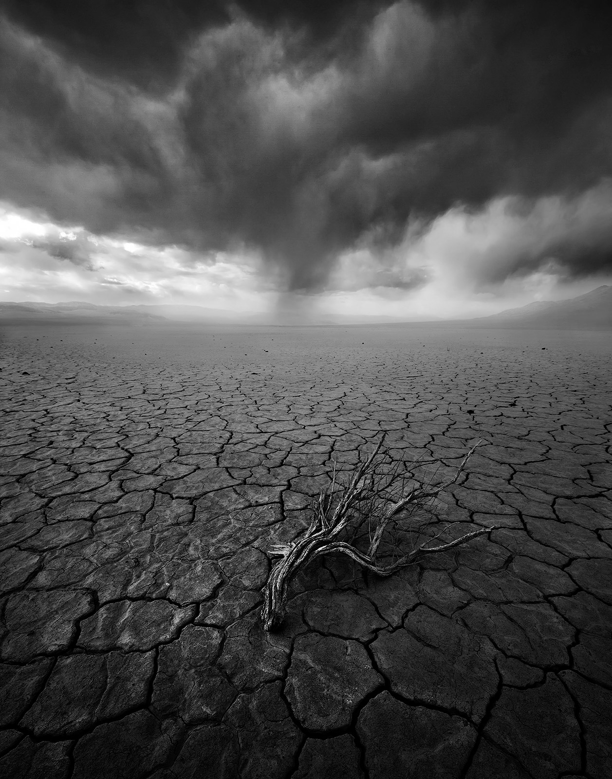 This is a single exposure taken in Death Valley depicting a lone Sagebrush dead on a cracked playa under stormy skies.