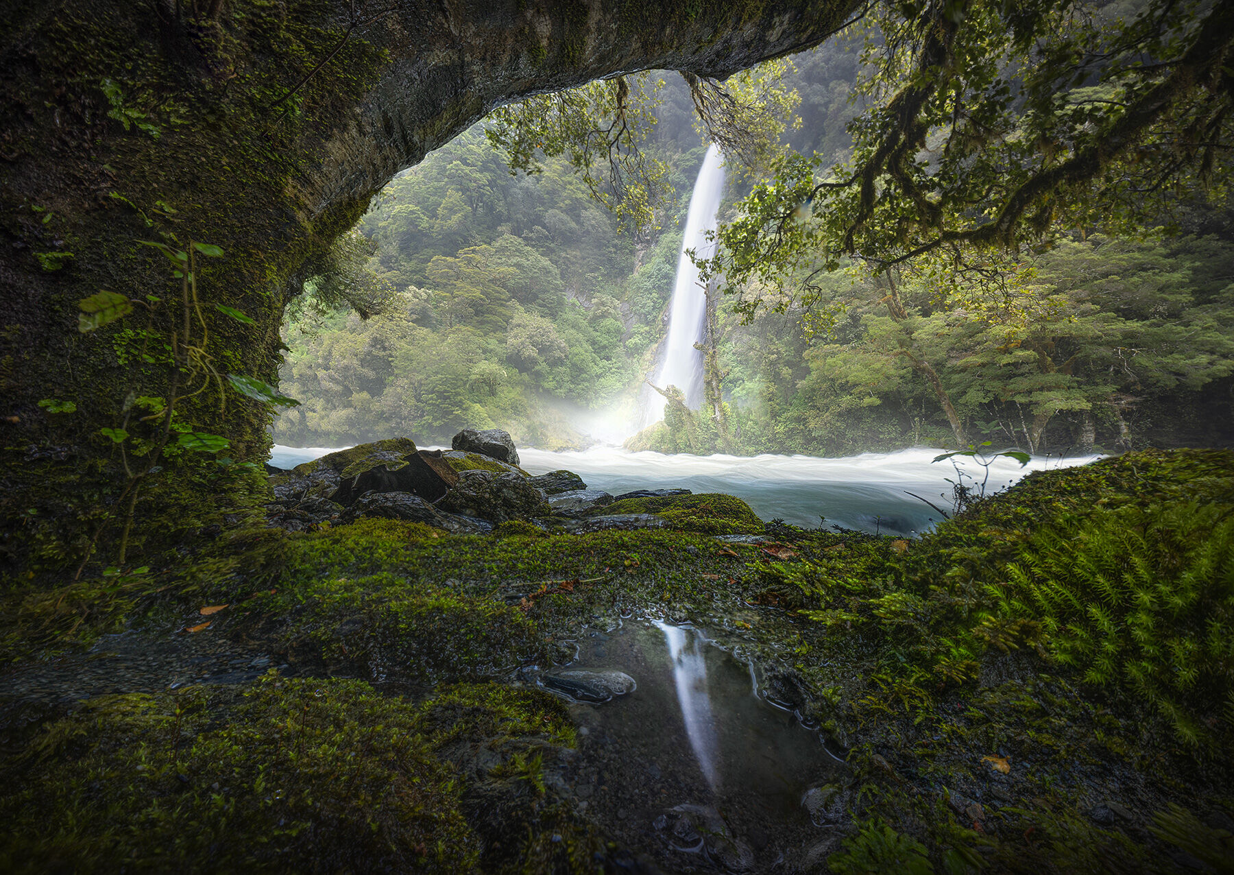 A massive waterfall in heavy rain reflected in a tiny pool beneath beech trees in New Zealand