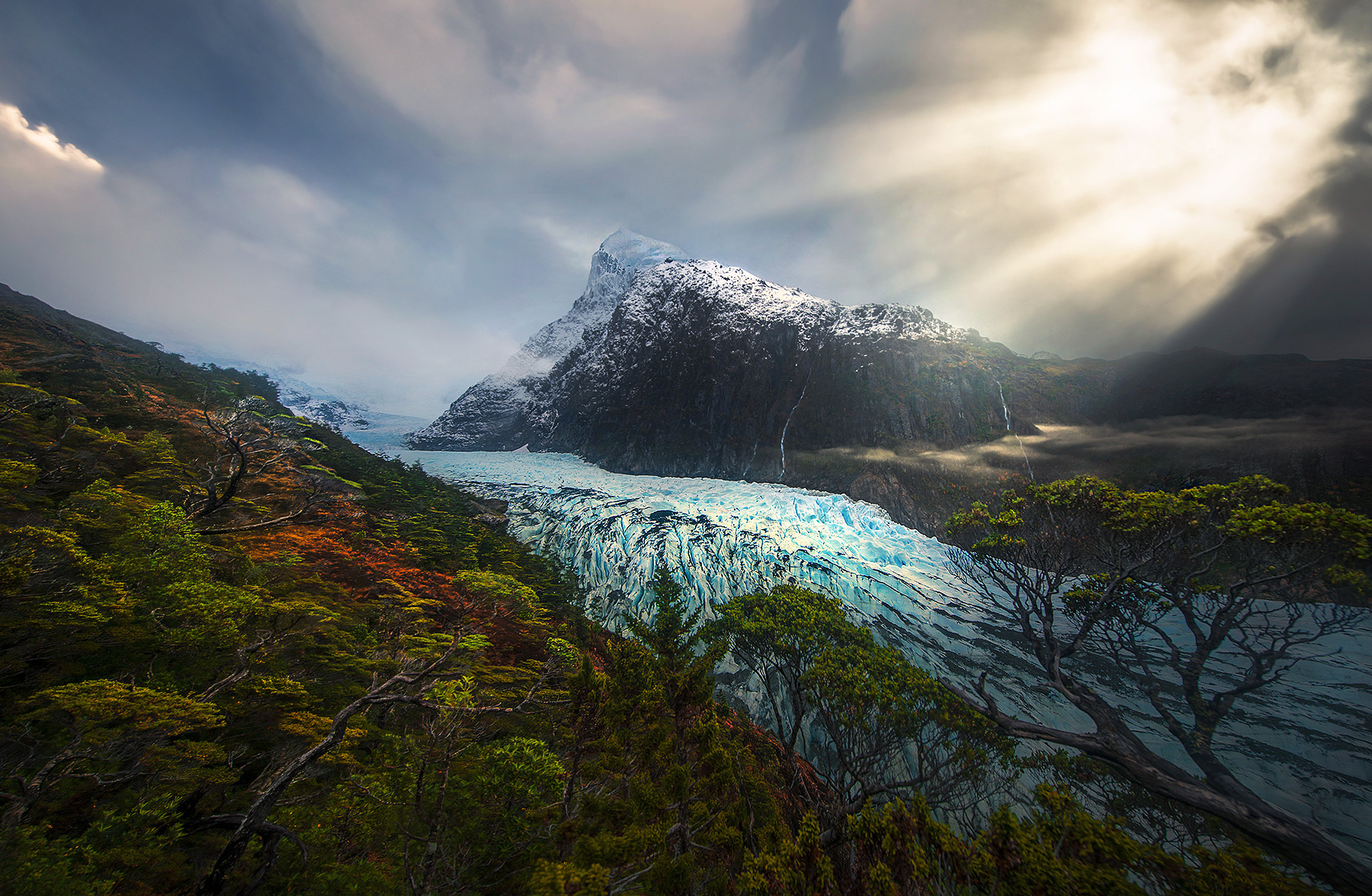Some epic lighting beams into a scene depicting one of the most remote rainforests in the world, sitting above massive glaciers...