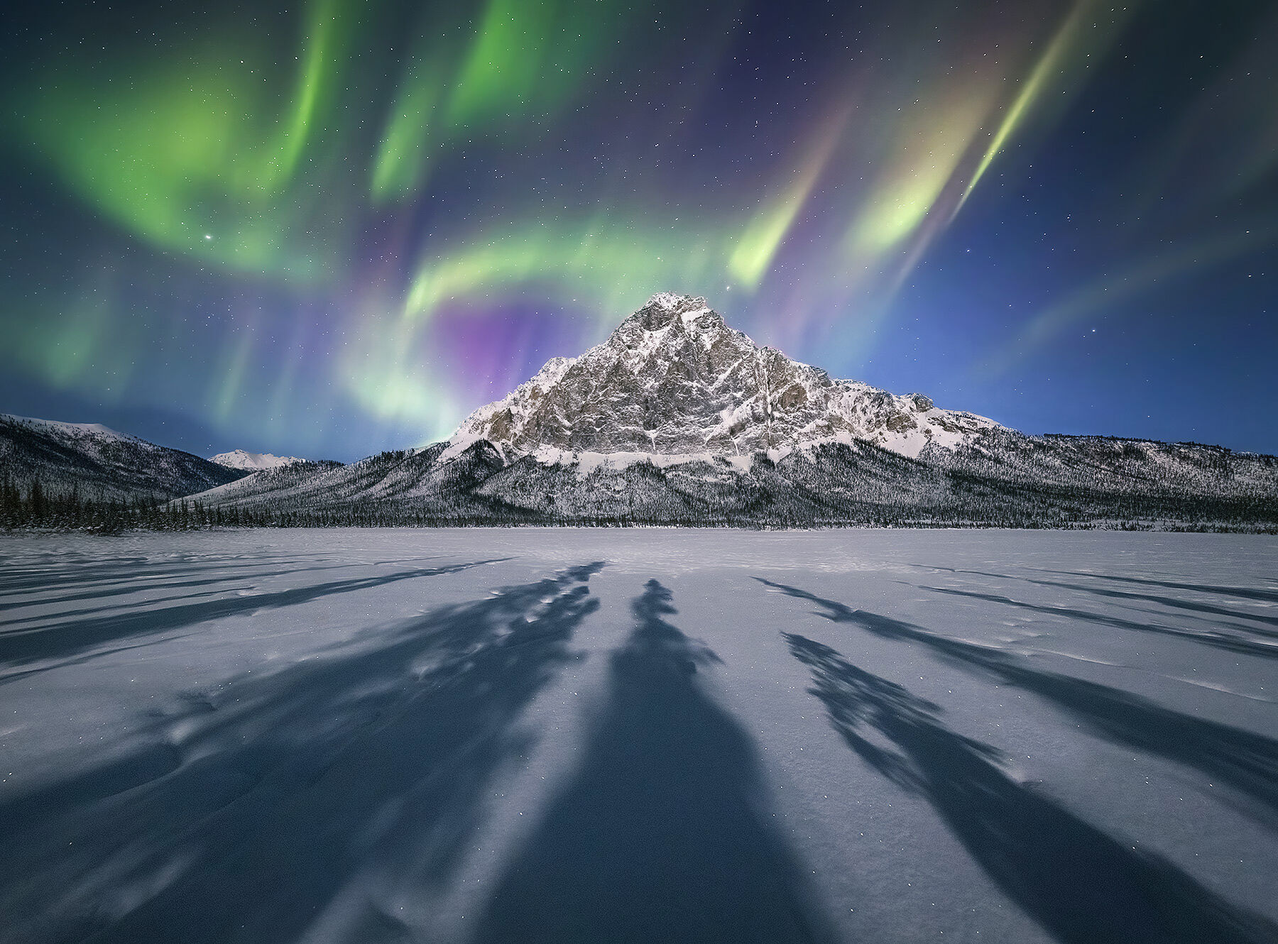 Shadows to the Sky Tree shadows in the moonlight on the edge of a frozen lake complete the foreground of this aurora scene I shot with my photography...