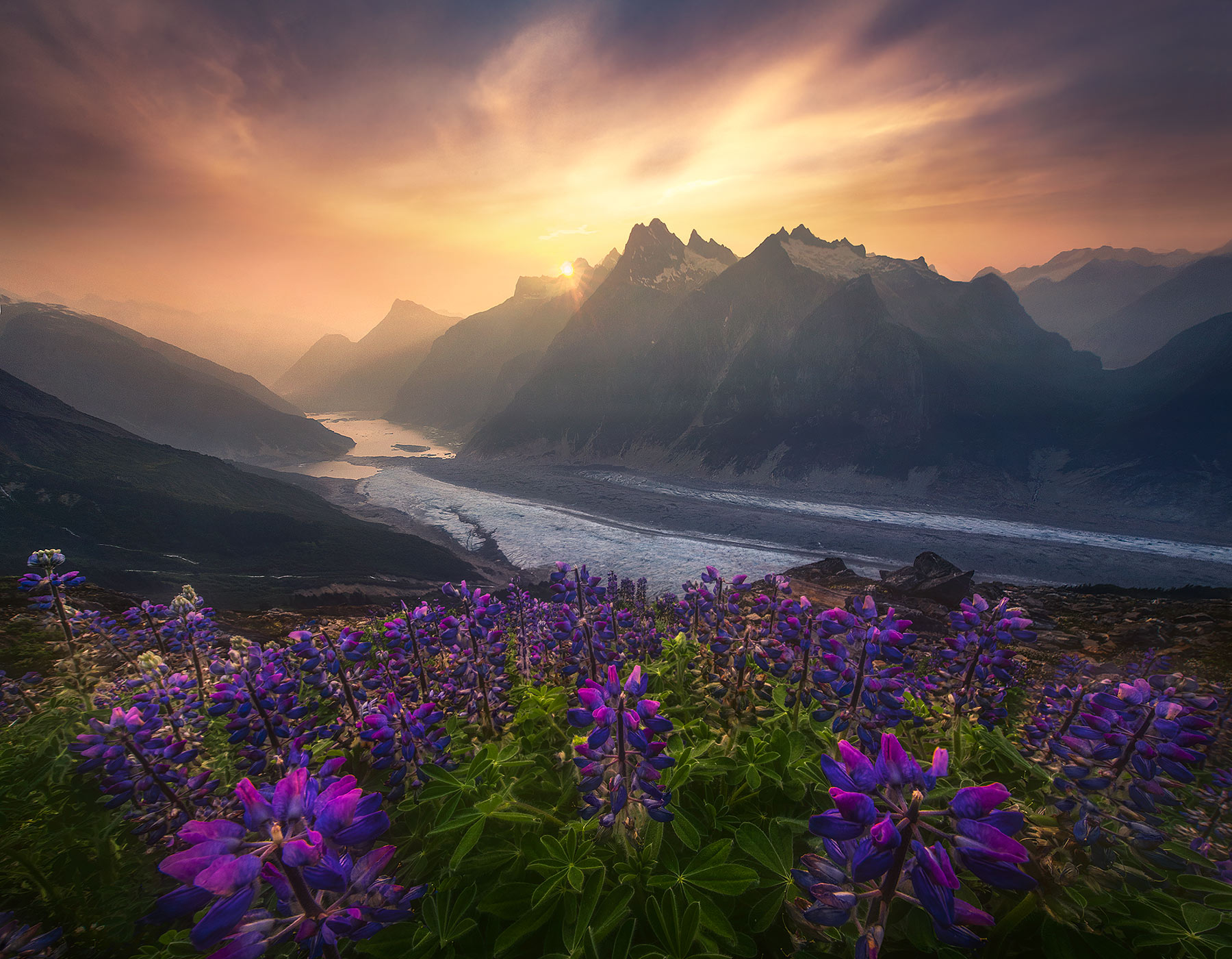 One of the endless views of high peaks, glaciers and wildflowers one can find in the Boundary Ranges of Alaska. Here the summer...