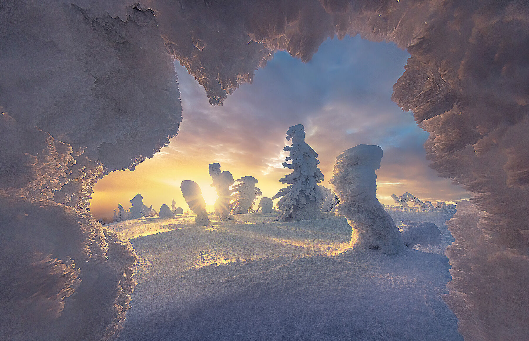 Rime ice hanging from trees in Alaska forms a frame for the sunset