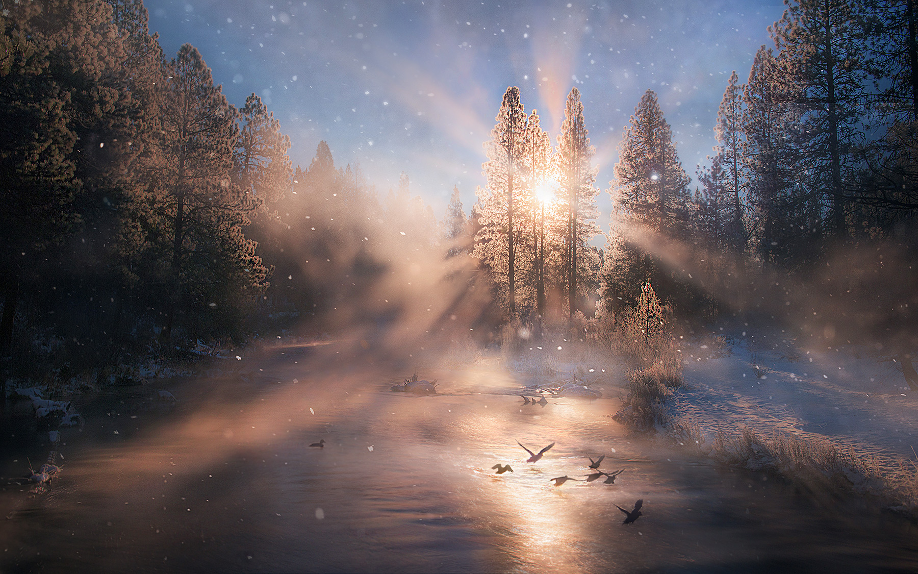 Ice flakes fall gently from the trees catching winter light on a frigid morning. &nbsp;Ducks take off from the water below. &...