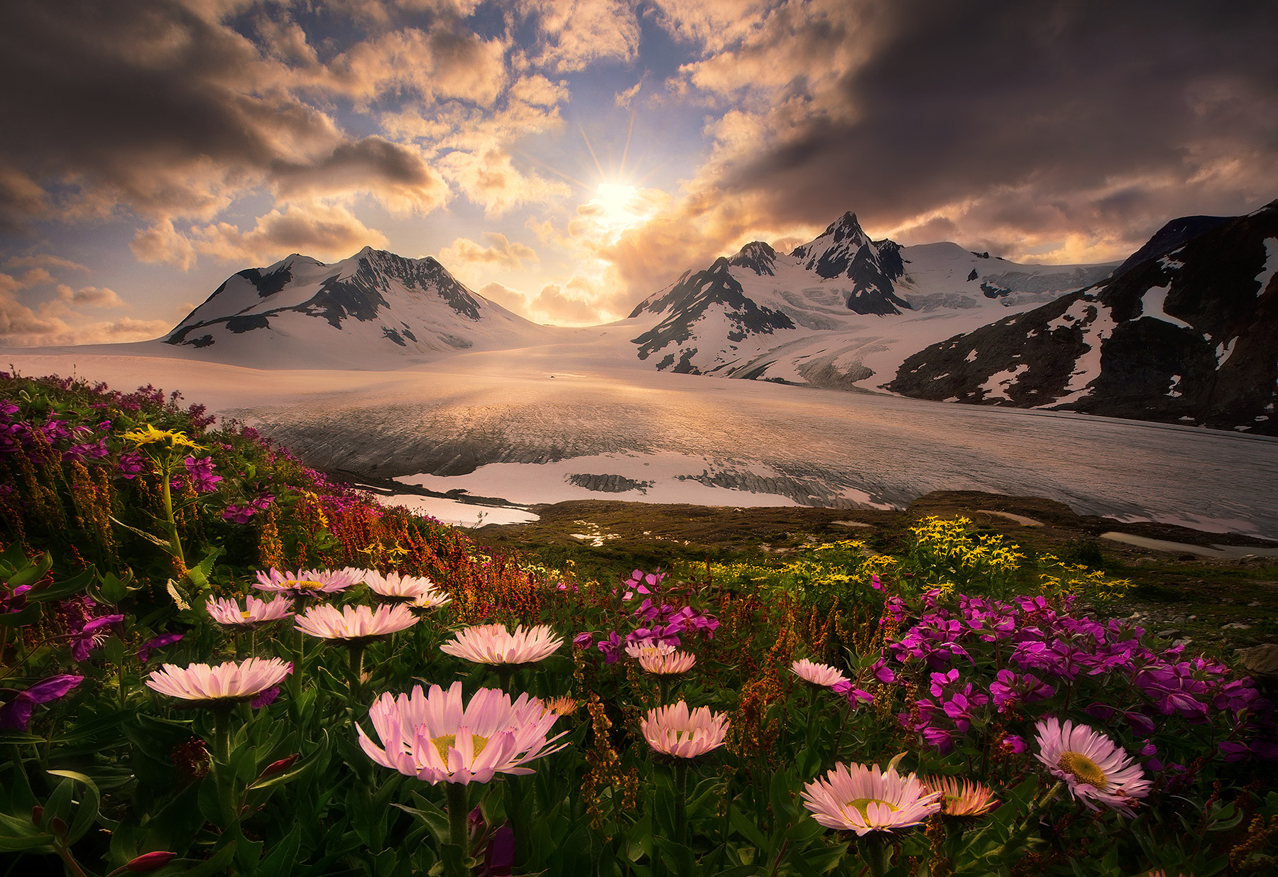 So Long for this Moment (2012) The tiniest of gardens abounds with summer colors amidst the vast glacial expanses of some of Alaska's most wild and stormy...