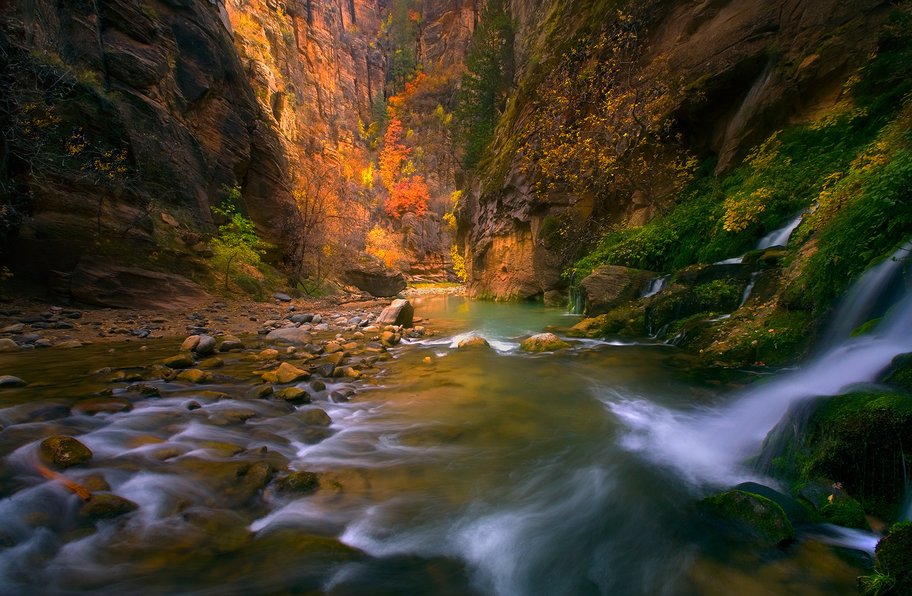 The rich multitude of colors glowing with soft canyon light at Big Springs in Zion's Vigin River during a backpacking trip.&nbsp...