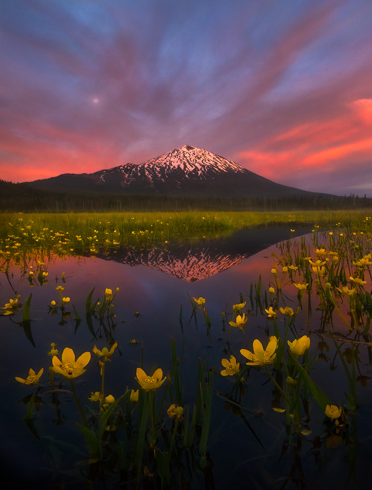 The rich colors of twilight as the moon rises over a wetland spring towards mount Bachelor, Oregon.&nbsp;