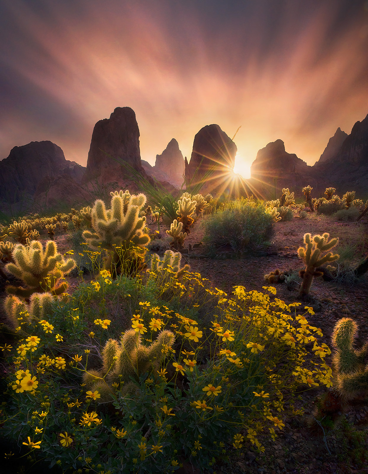 A very long exposure time streaks the cloud motion at sunrise over mountains in Southern Arizona and a spring wildflower bloom...
