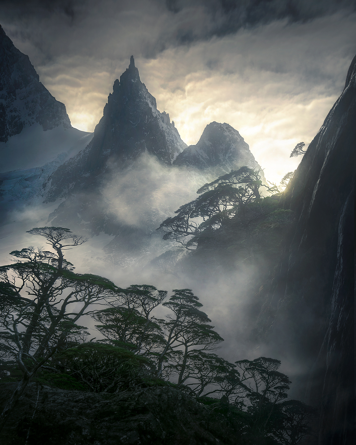 One of the most remote peaks in the world, as yet unnamed towers over the spectacular Coigue Rainforest.  More beautiful trees...