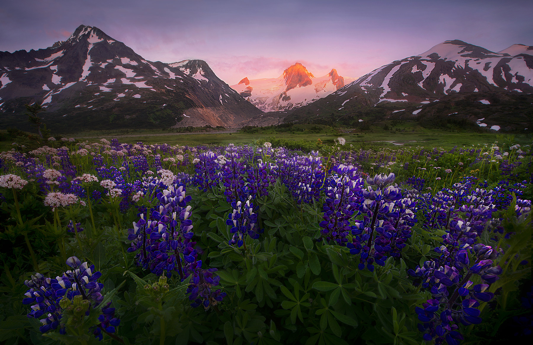 The Distant End (2012) The last light of sunset on a distant glacial peak in the Boundary Range, British Columbia/Alaska. Wildflowers were as abundant...
