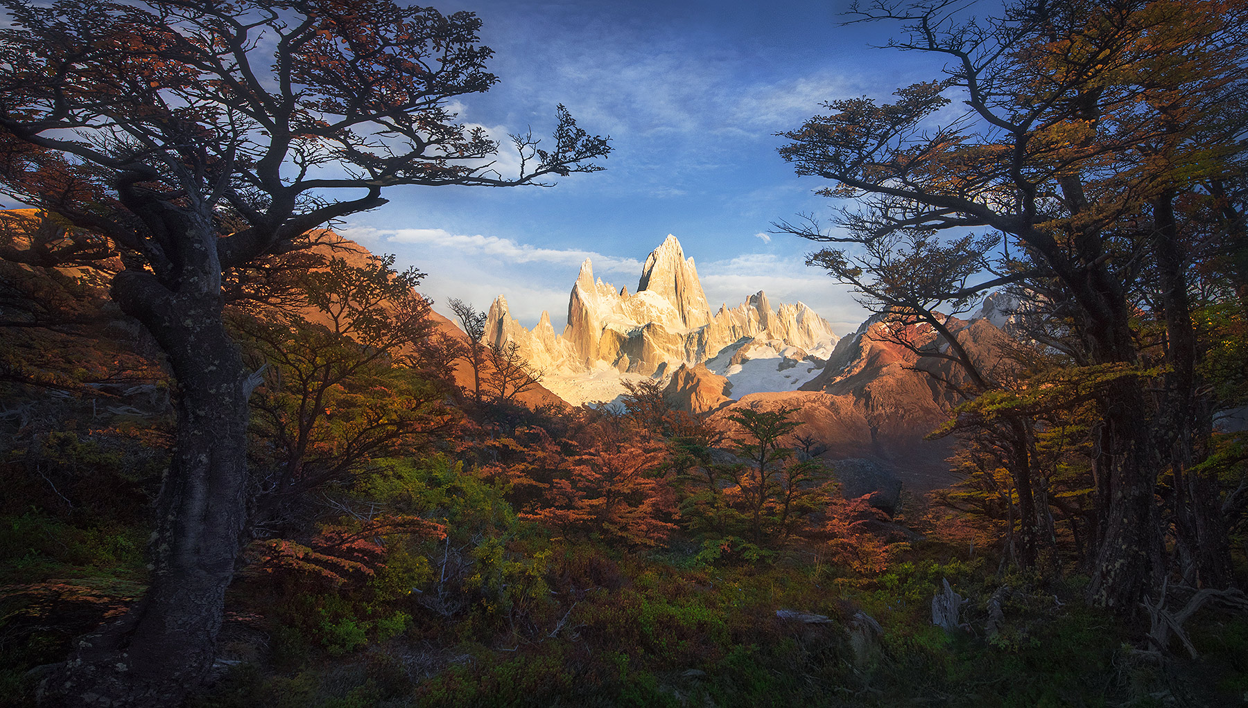 One of the most impressive peaks on Earth, Fitz Roy, through Lenga Forest. &nbsp;