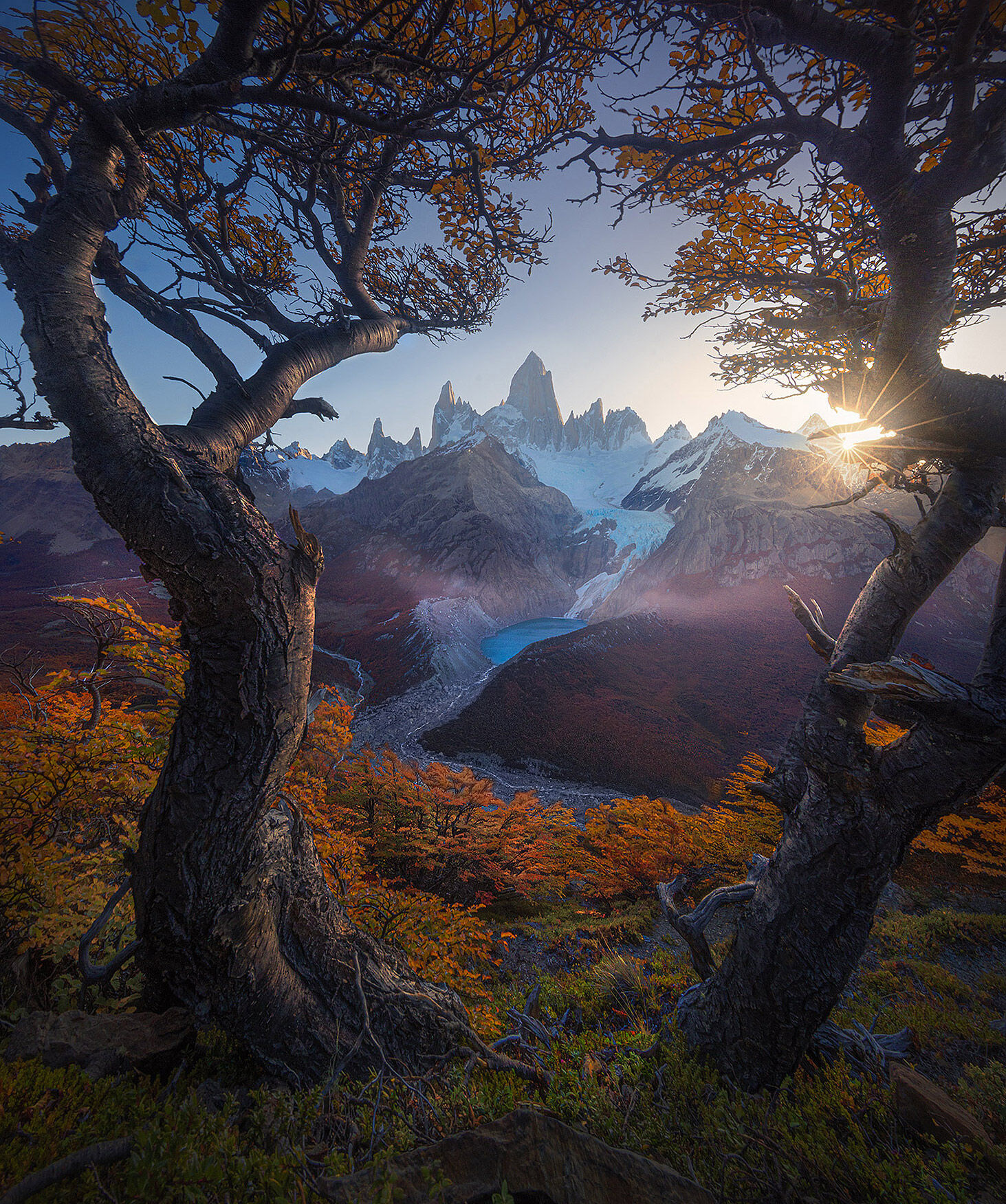 Lenga trees and fall colors surround the great mountain, Fitz Roy, in Argentina.