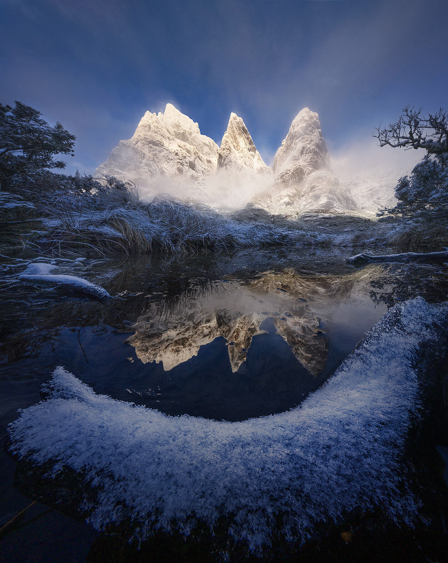 A new snow captured beneath enormous towers ine Chilean Fjords, framed by an icy log in a tidal marsh