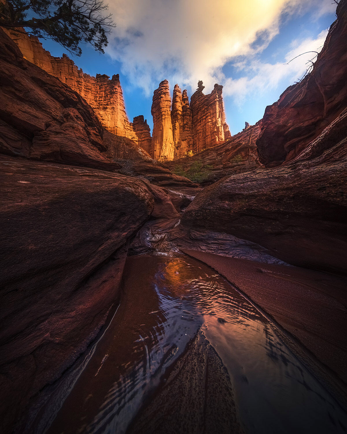 A recent rainstorm and wet winter created some amazing condition near sunset at Fisher Towers, Utah.