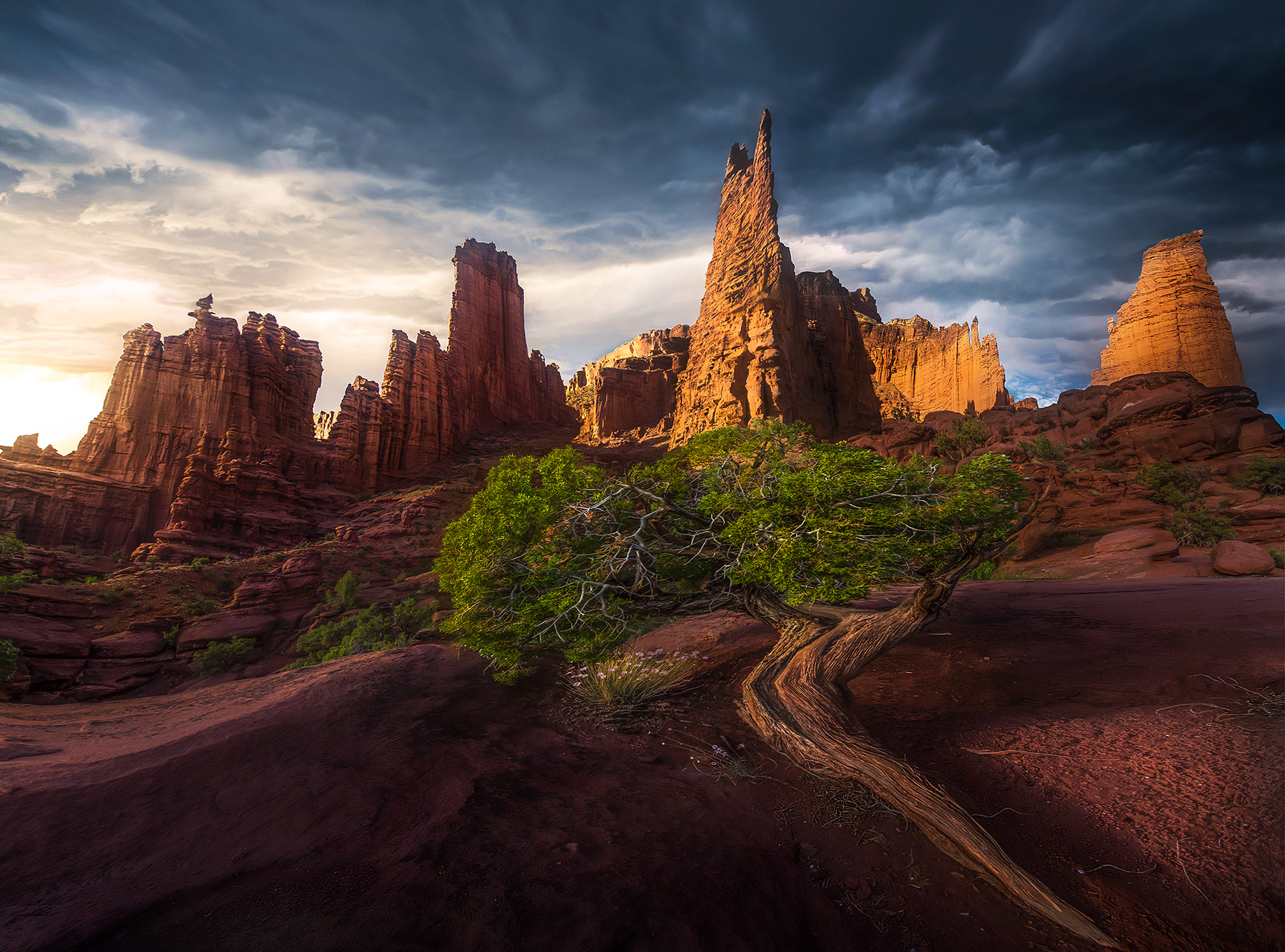A panoramic view of amazing thousand-foot high towers of golden rock reaching for the sky under the storm.  A lone juniper reaches...