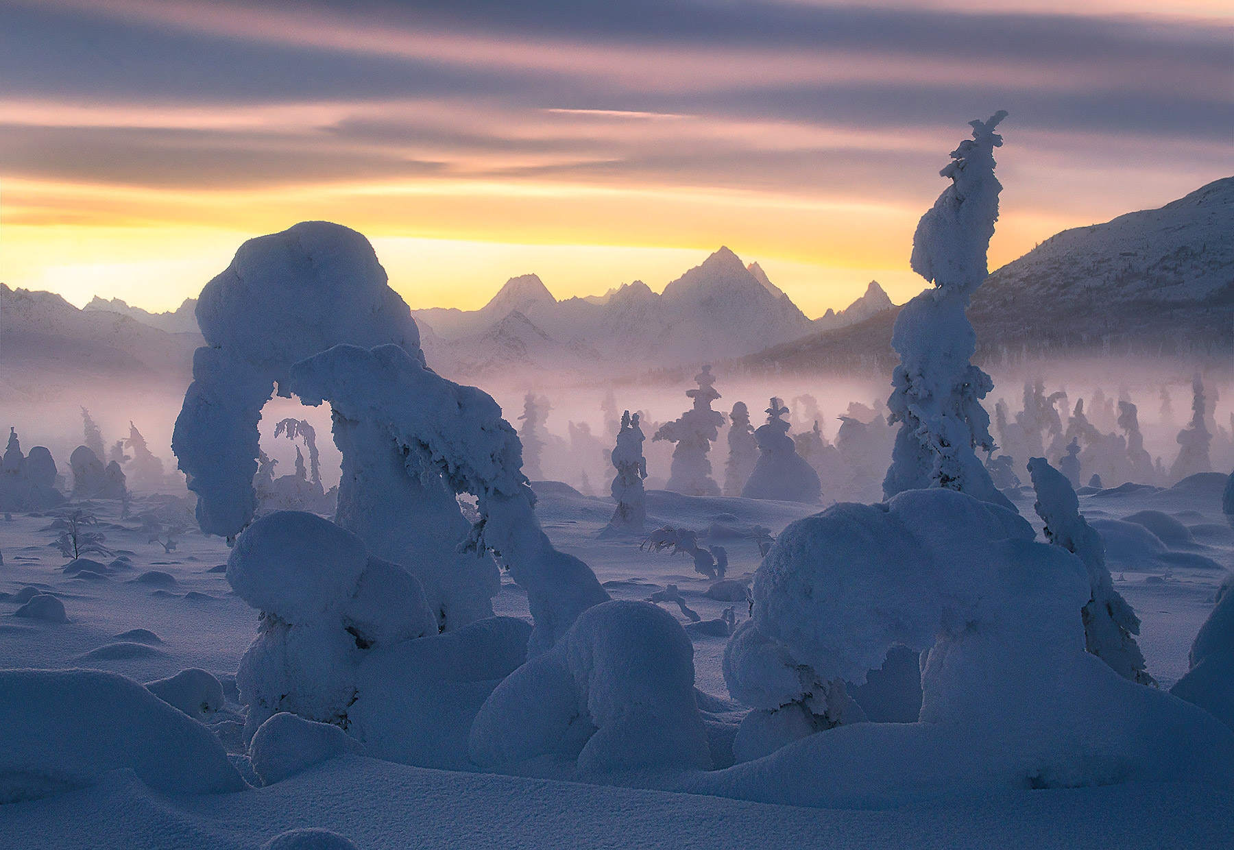 Rime ice covered forest at twilight in Alaska with the Chugach peaks in the background