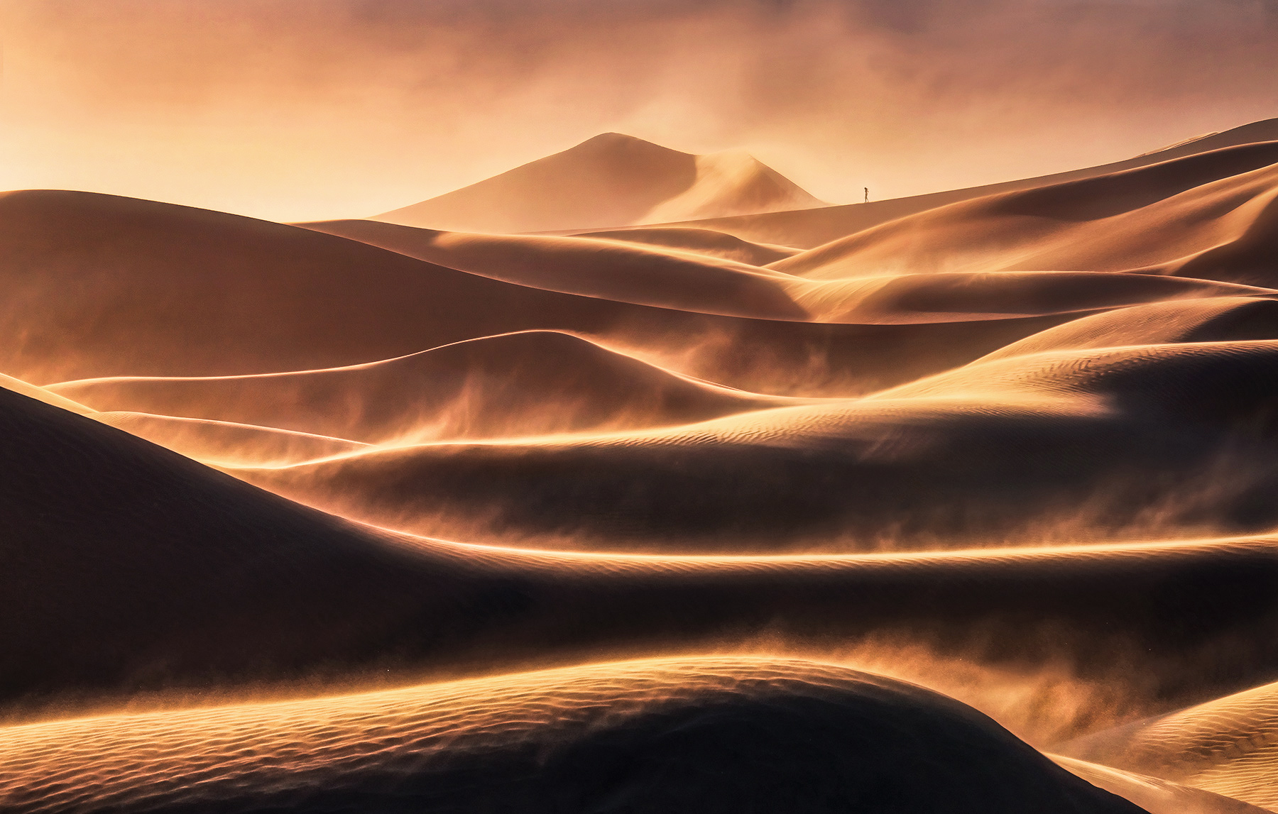 A lone person (seen clearly when viewed larger) walks the blowing sands in a windstorm on the dunes at sunset.