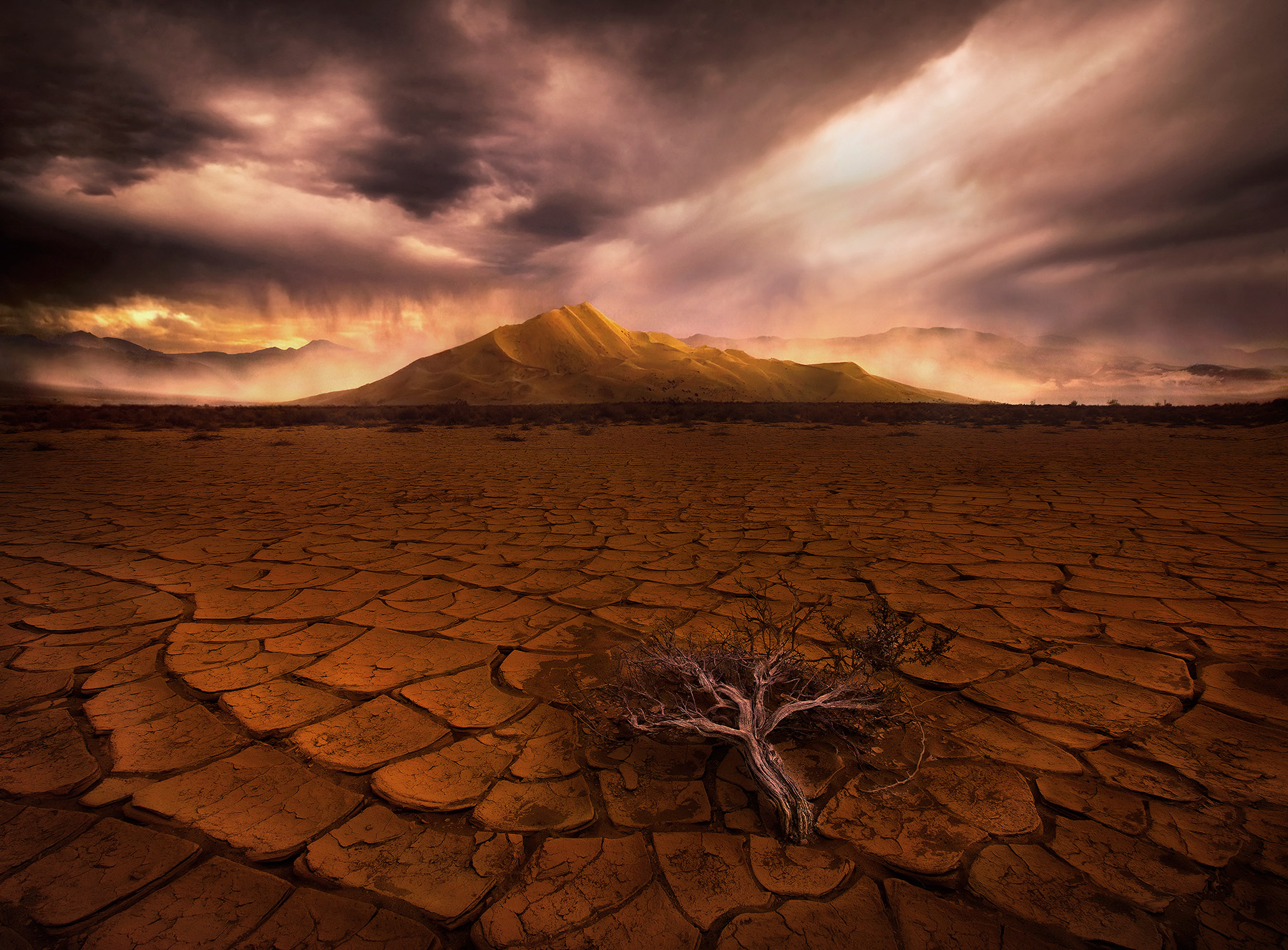 Incredible lighting and skies accentuate dunes and a distant sandstorm in California's Eureka Valley. A lone Sagebrush dies in...