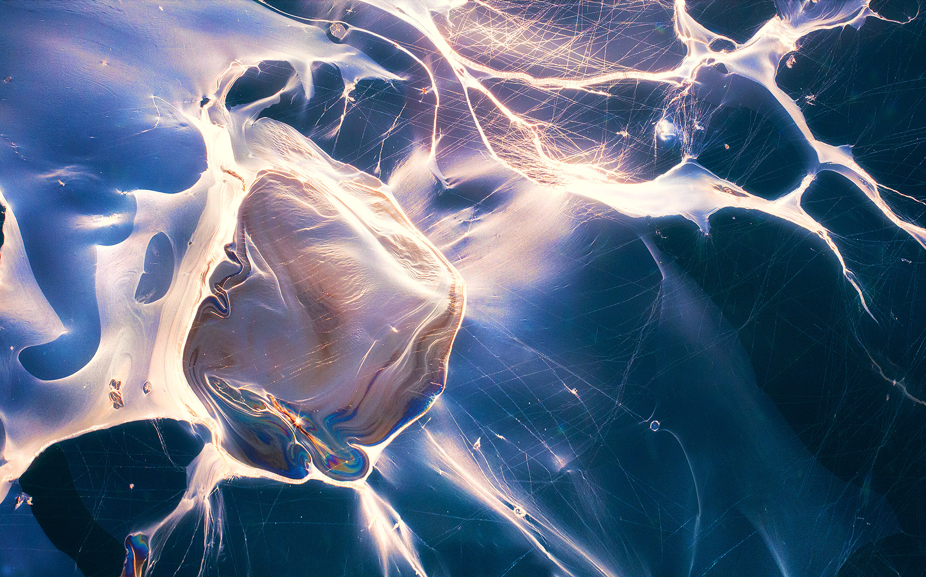 Water Current (2010) What you are looking at here is a small-scale abstract image of oil floating in the Pacific waters at natural oil seeps off the...