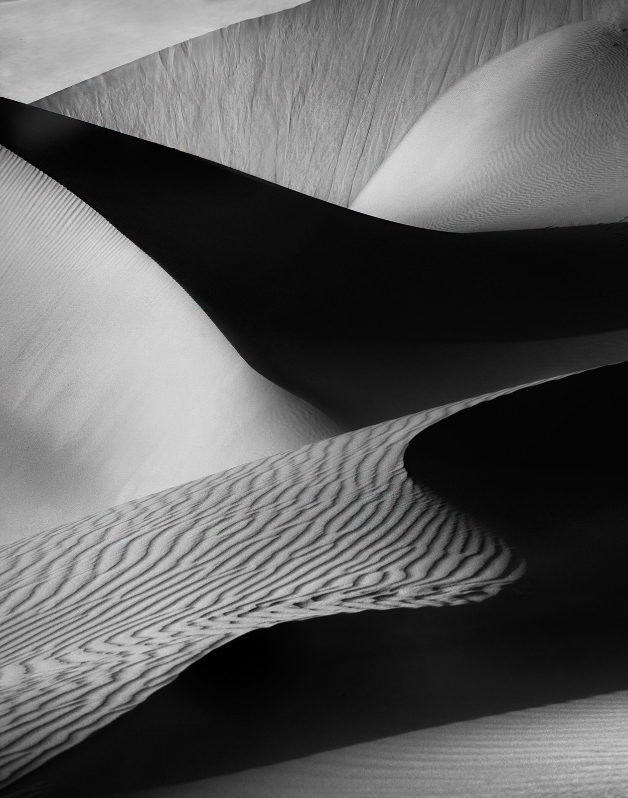 Curves and shapes in the dunes. United Arab Emirates.