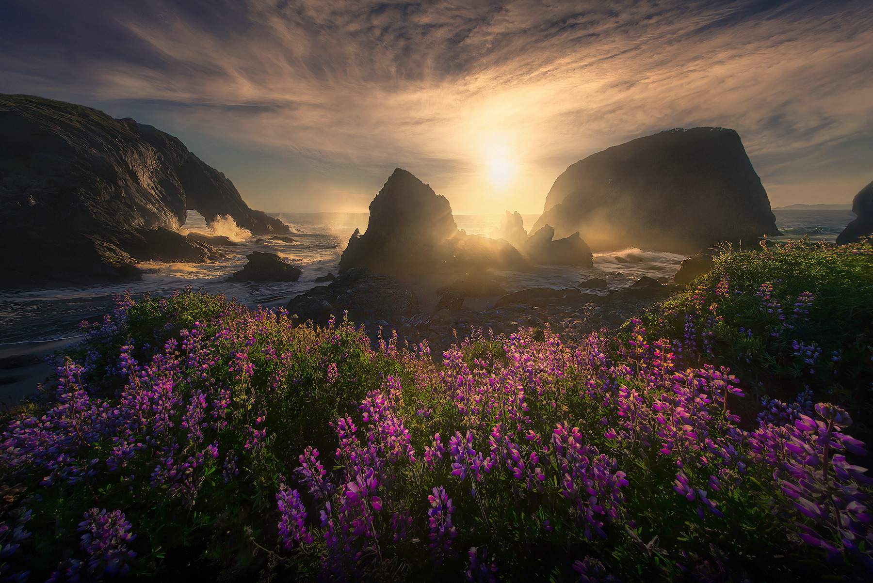 Arches, sea stacks, some big wave action and an amazing display of wildflowers that stretched for miles along these beaches. &...